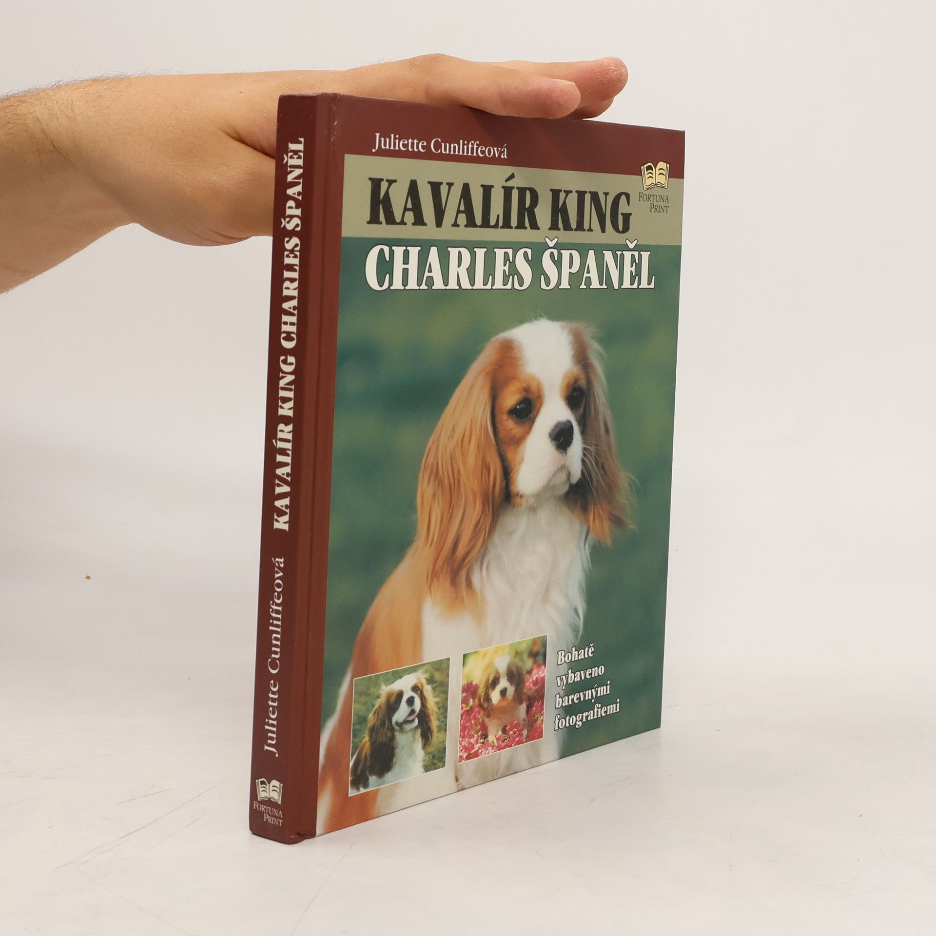 Juliette Cunliffe Kavalír king Charles španěl