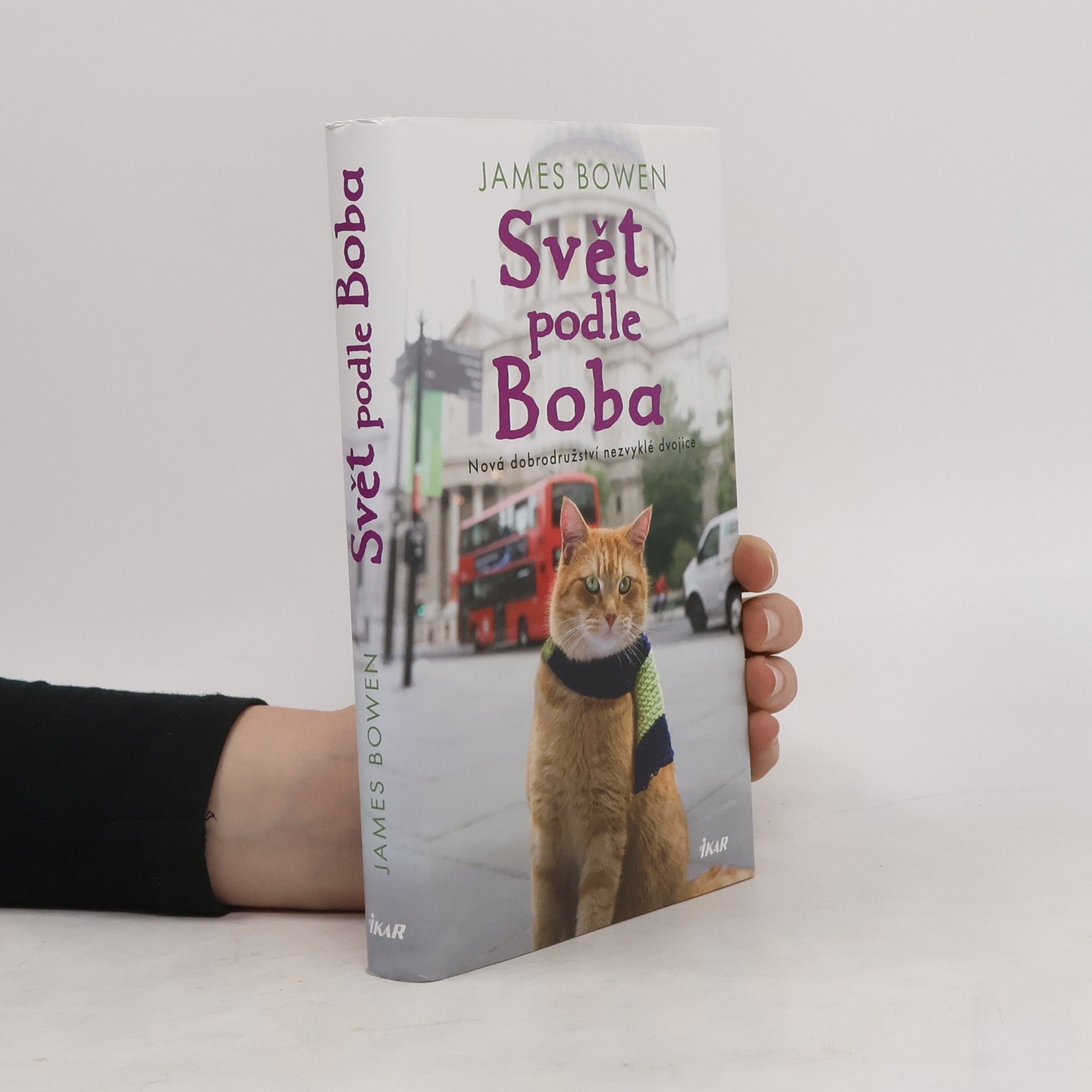 James Bowen Svět podle Boba