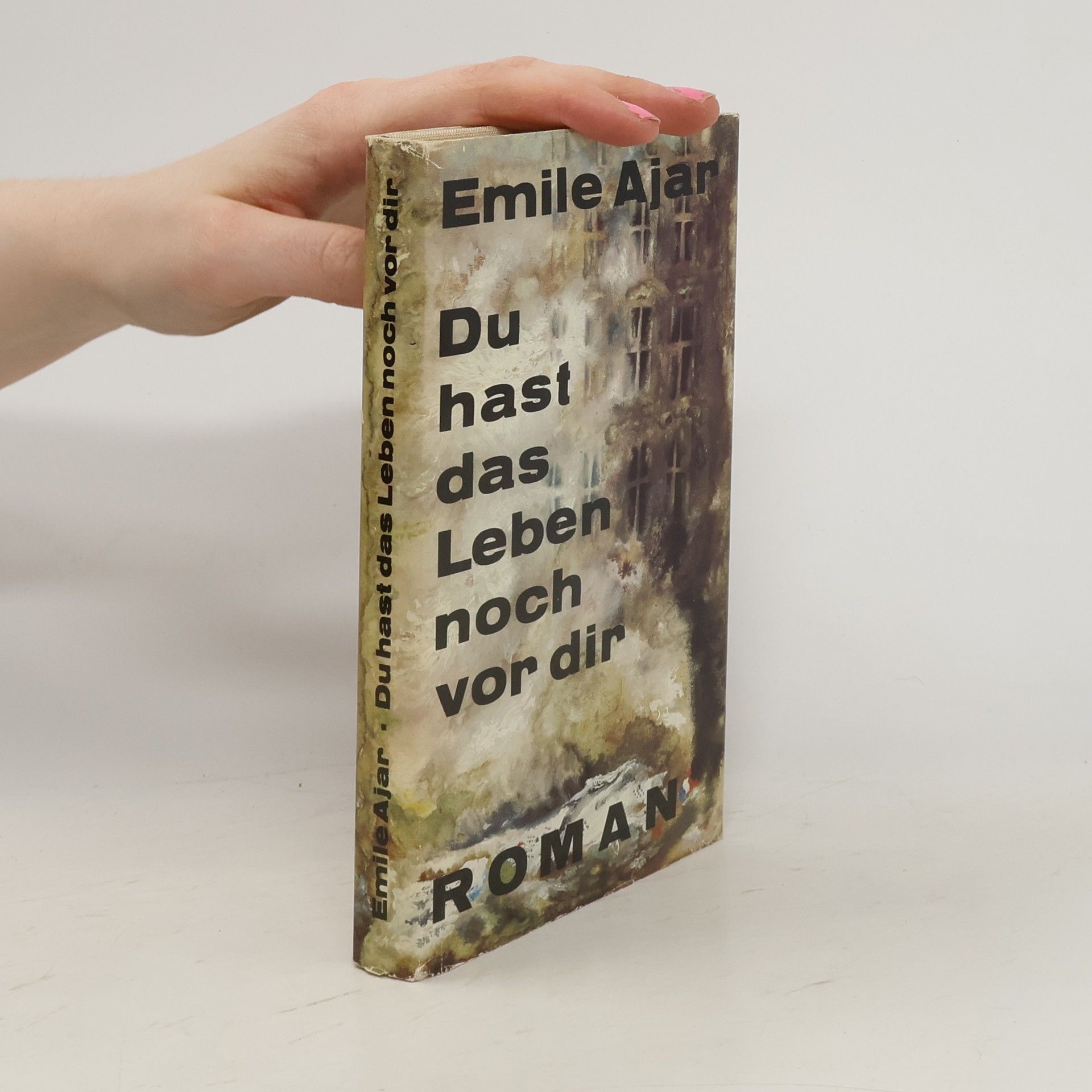 Romain Gary Du hast das Leben vor dir