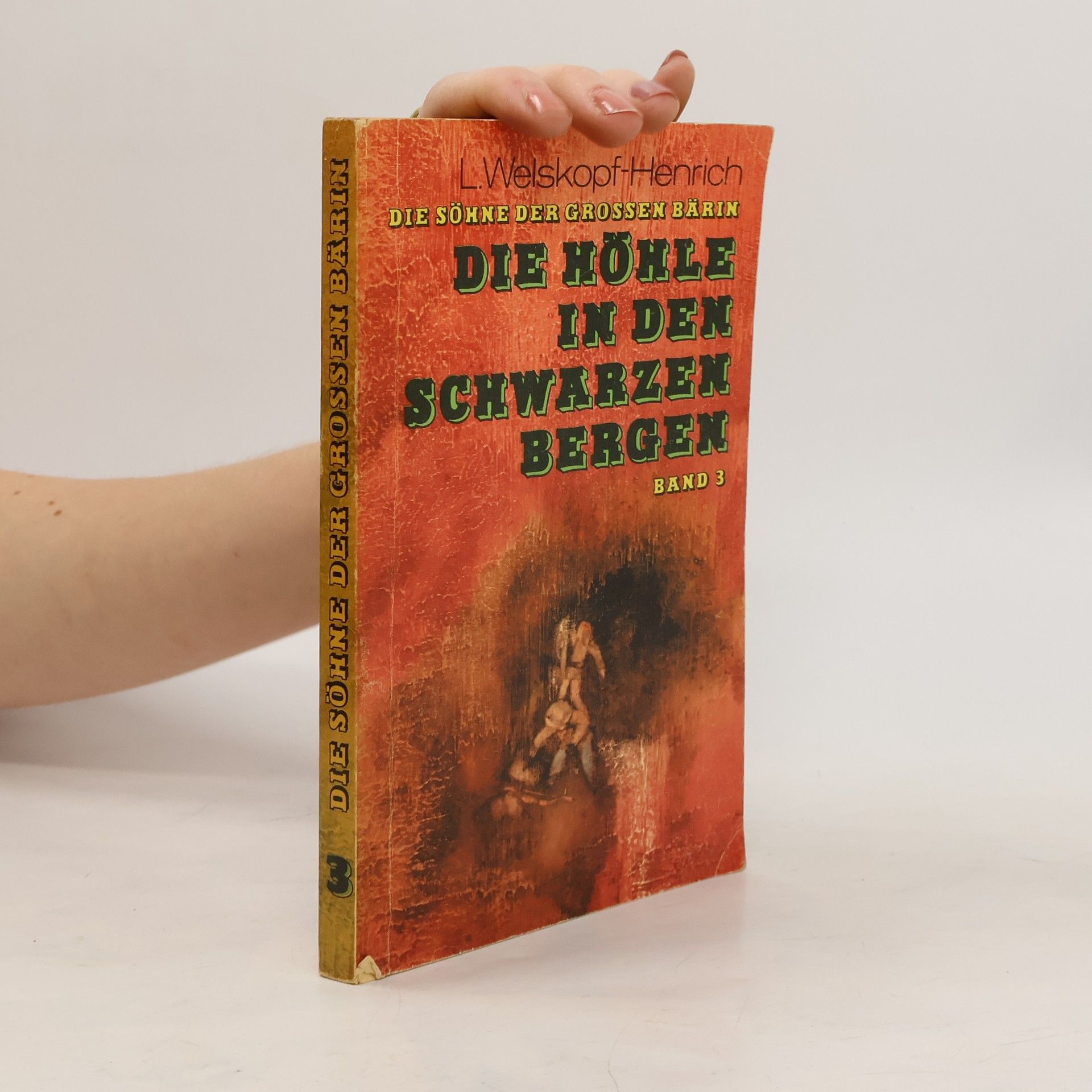 Liselotte Welskopf-Henrich Die Höhle in den schwarzen Bergen. Band 3