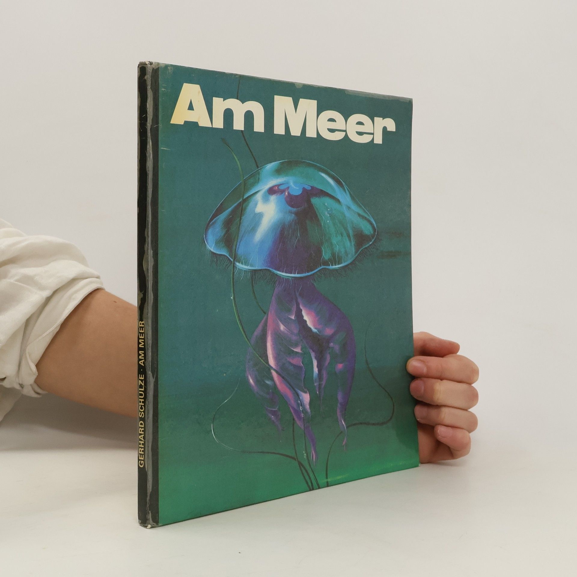 Gerhald Schulze Am Meer