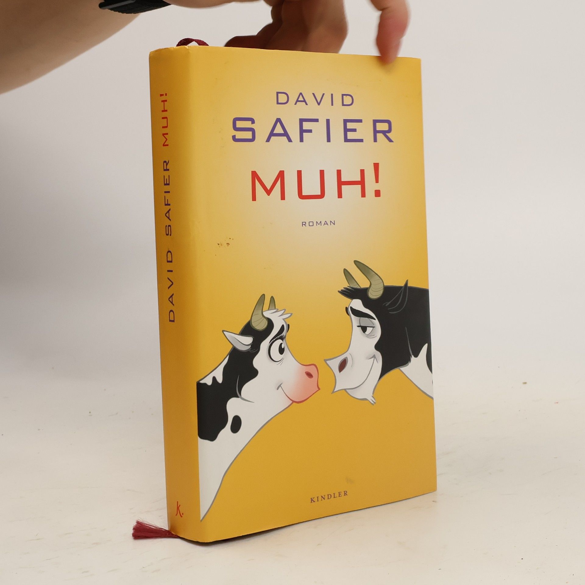 David Safier Muh!