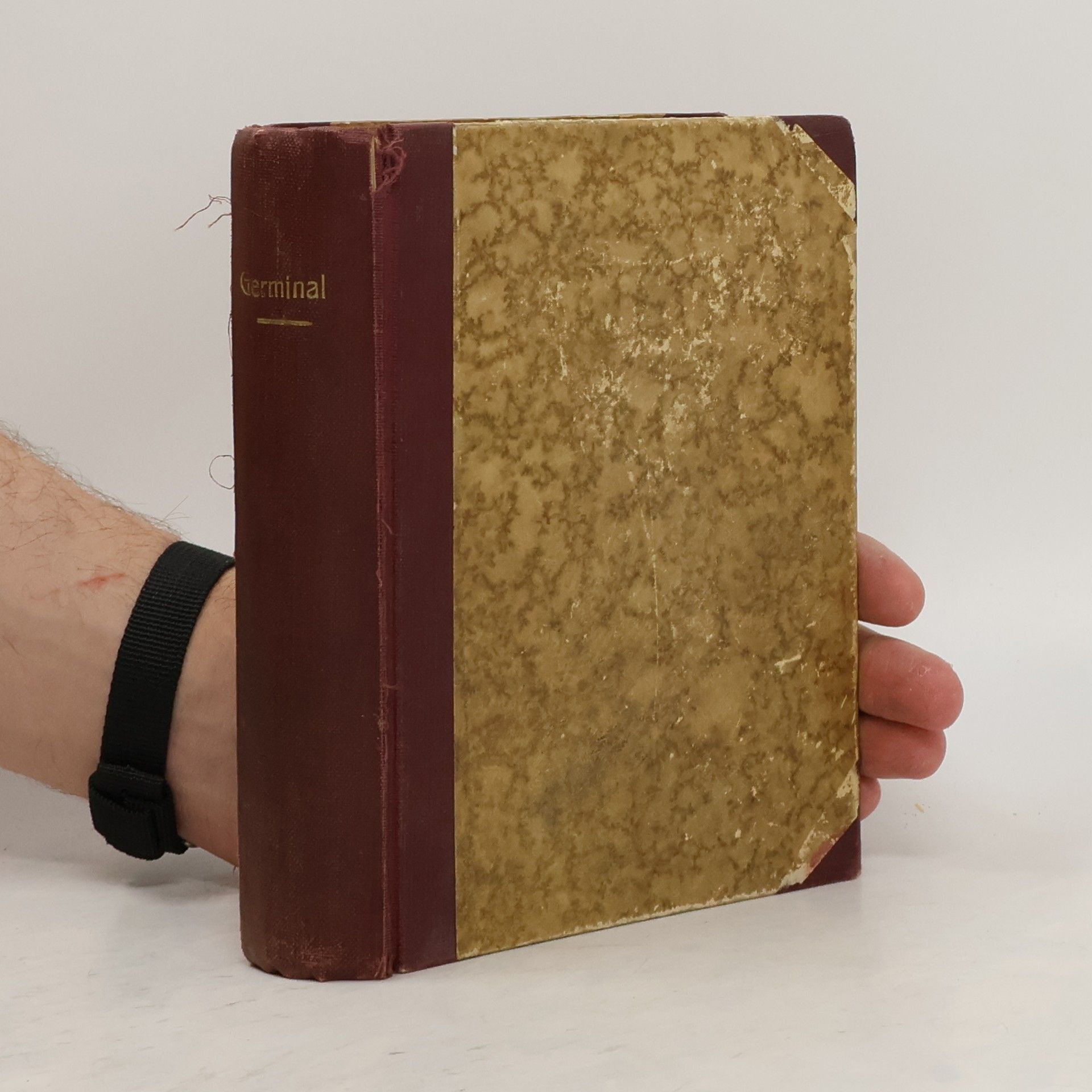 Émile Zola Germinal (klíčení)