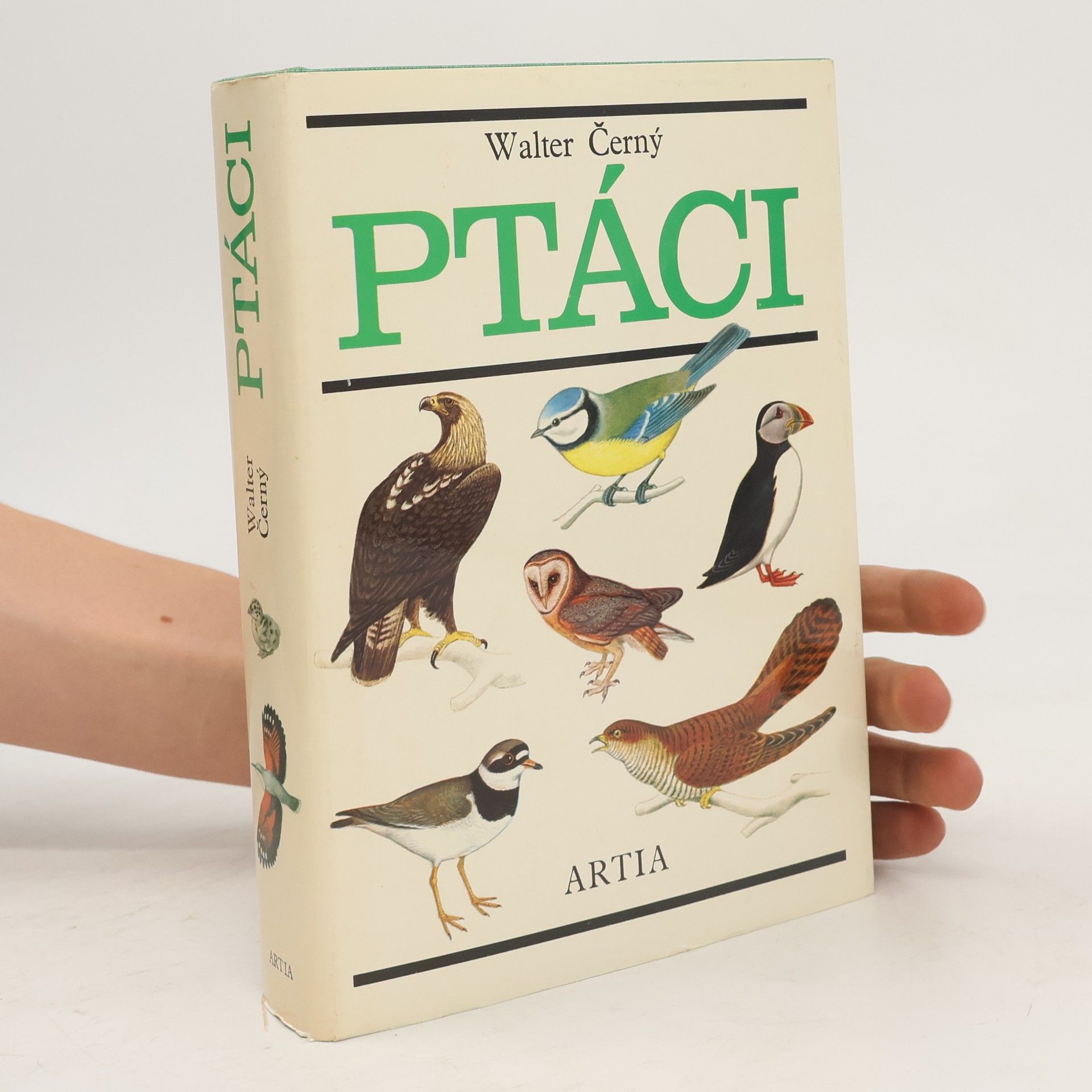 Walter Černý Ptáci