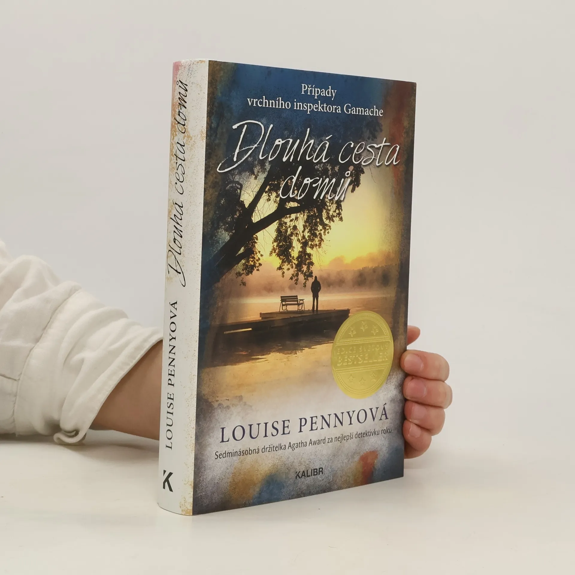 Dlouhá cesta domů | Book | Hardcover | Louise Penny | CS
