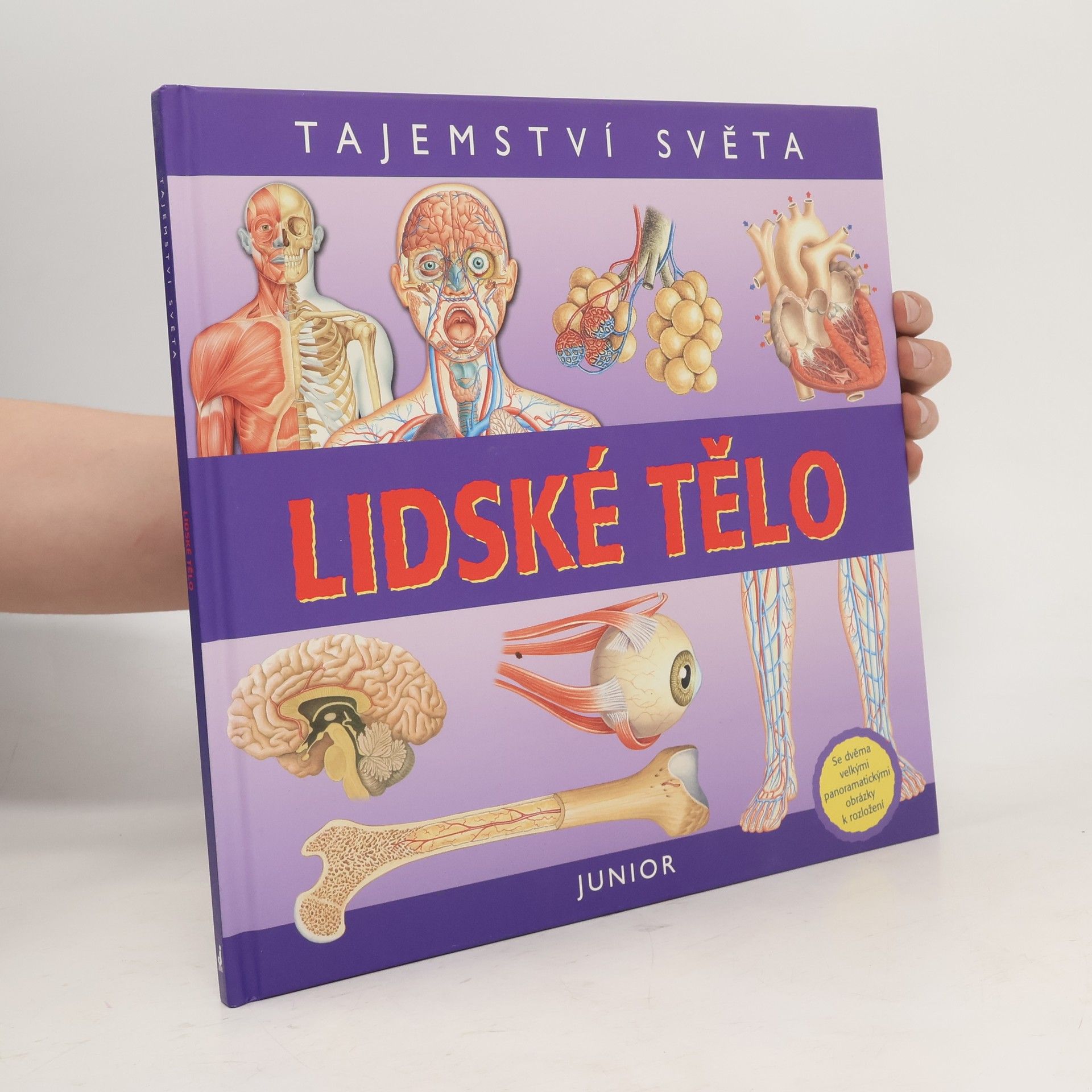 Nicholas Harris Lidské tělo