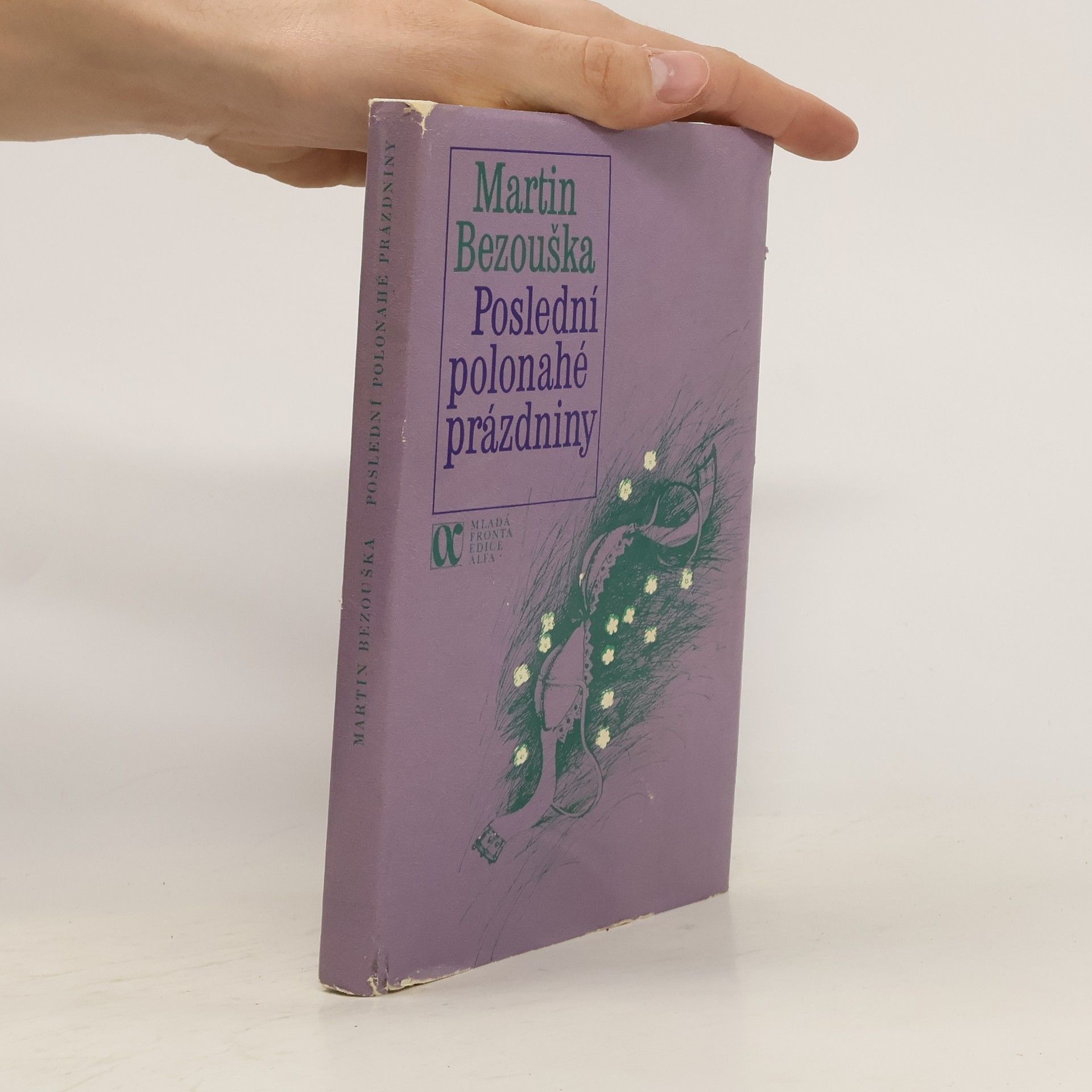 Martin Bezouška Poslední polonahé prázdniny