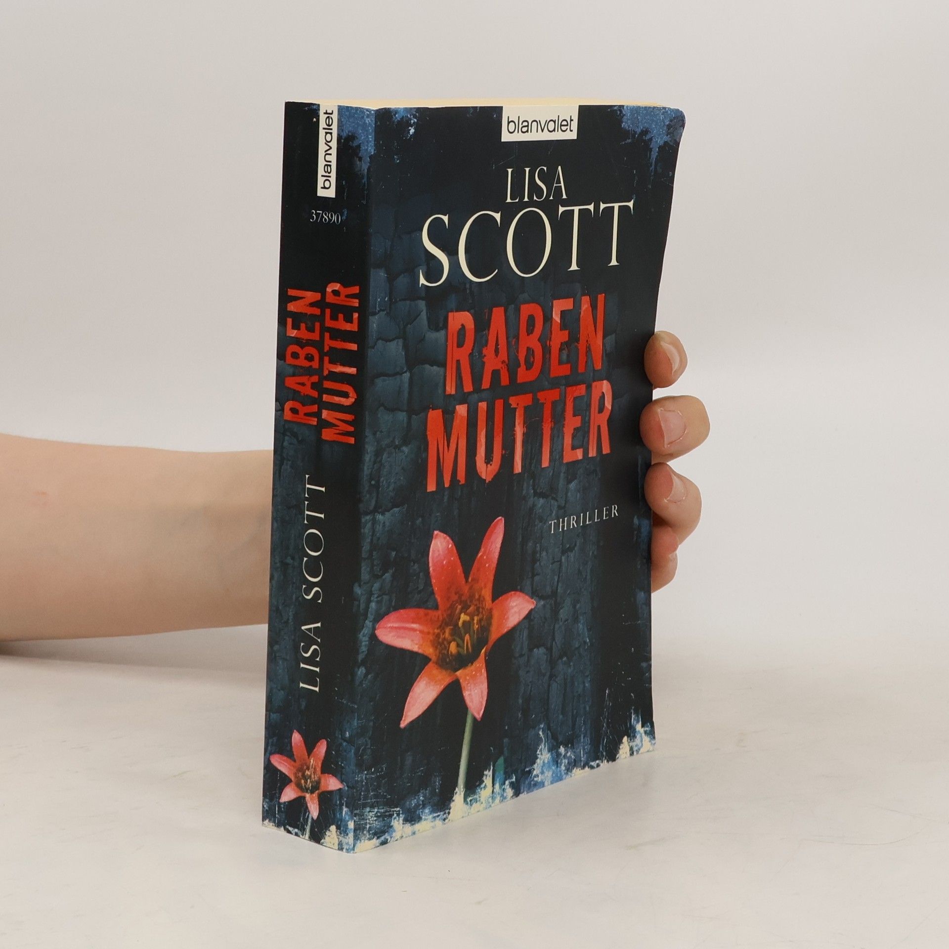 Lisa Scottoline Rabenmutter