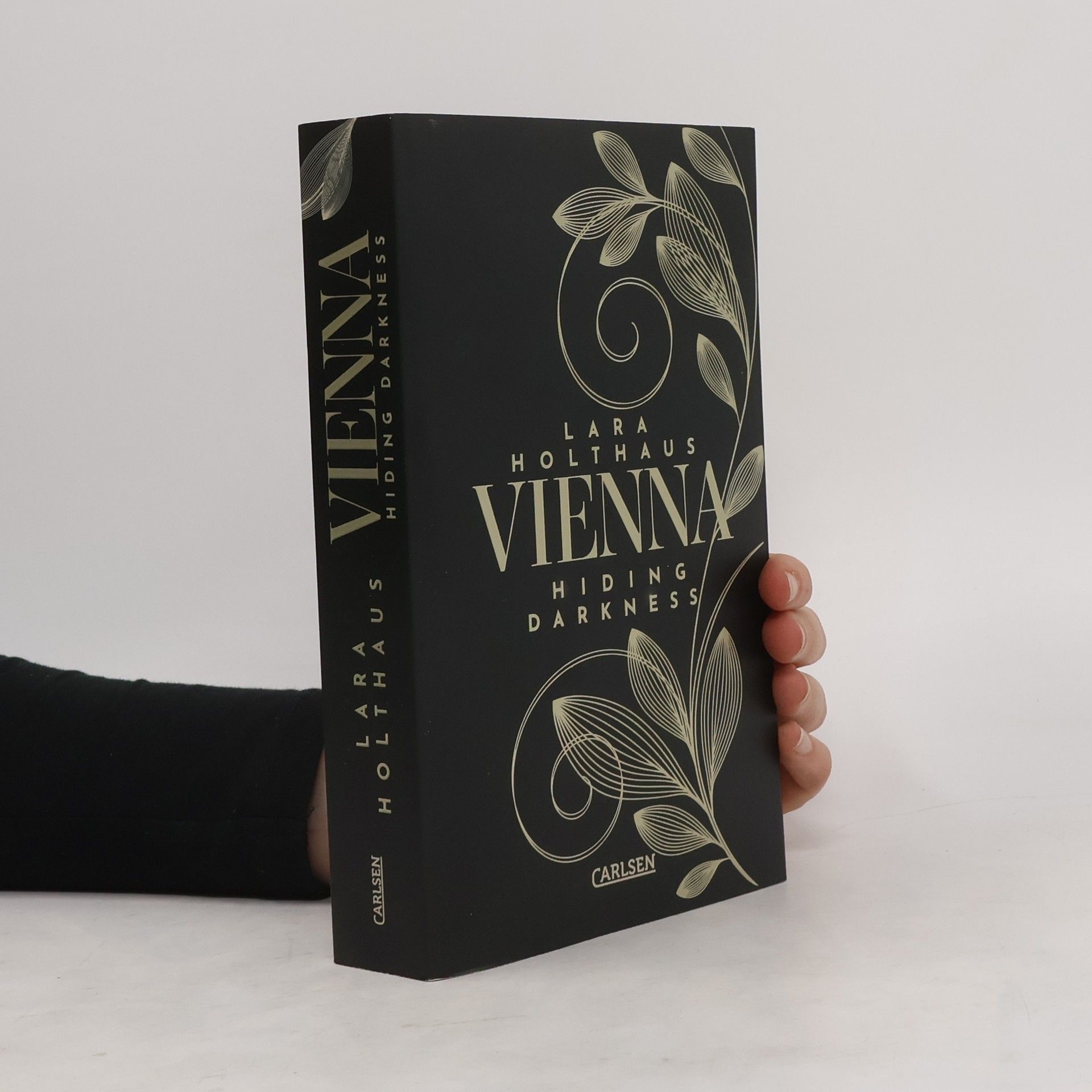 Lara Holthaus Hiding Darkness / Vienna Bd.2