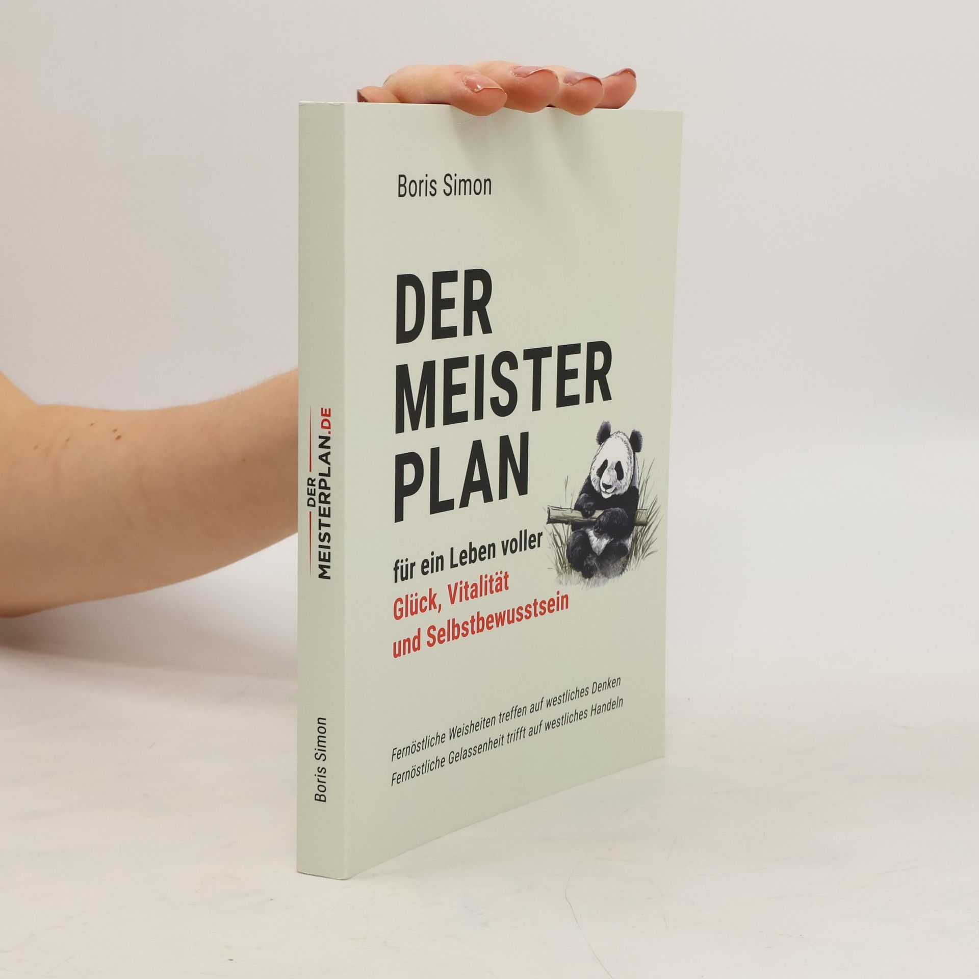 Boris Simon Der Meisterplan für ein Leben voller Glück, Vitalität und Selbstbewusstsein