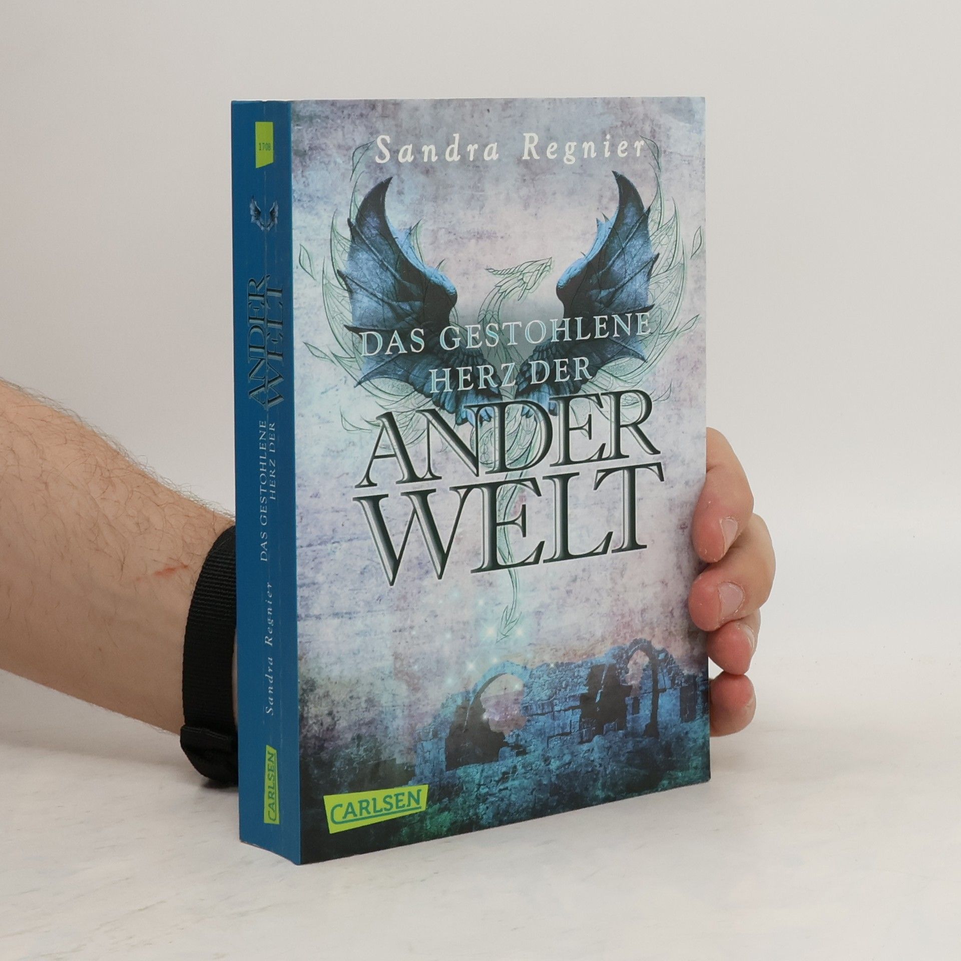 Sandra Regnier Das gestohlene Herz der Anderwelt