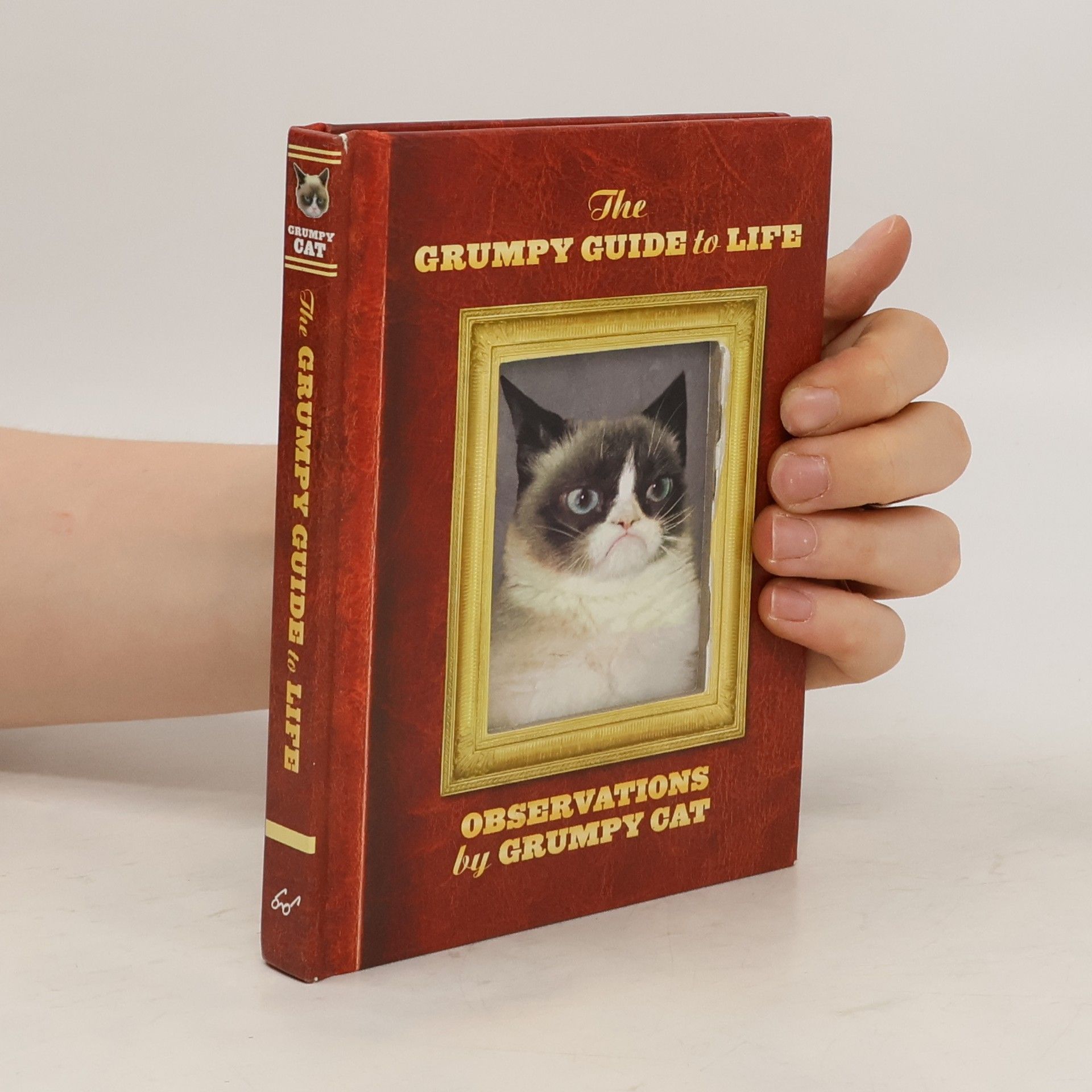 Grumpy Cat The Grumpy Guide to Life