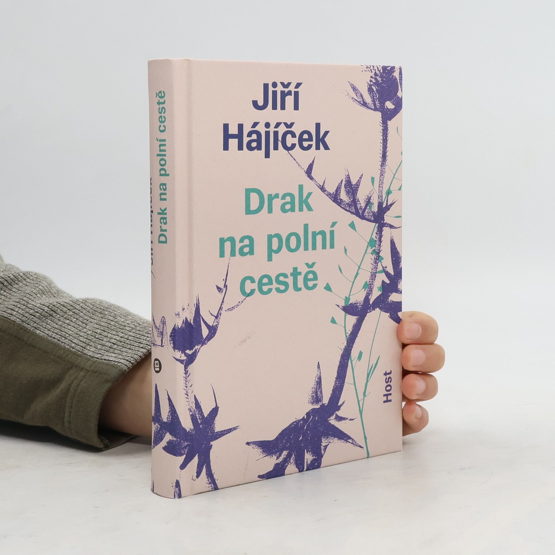 Jiří Hájíček Drak na polní cestě