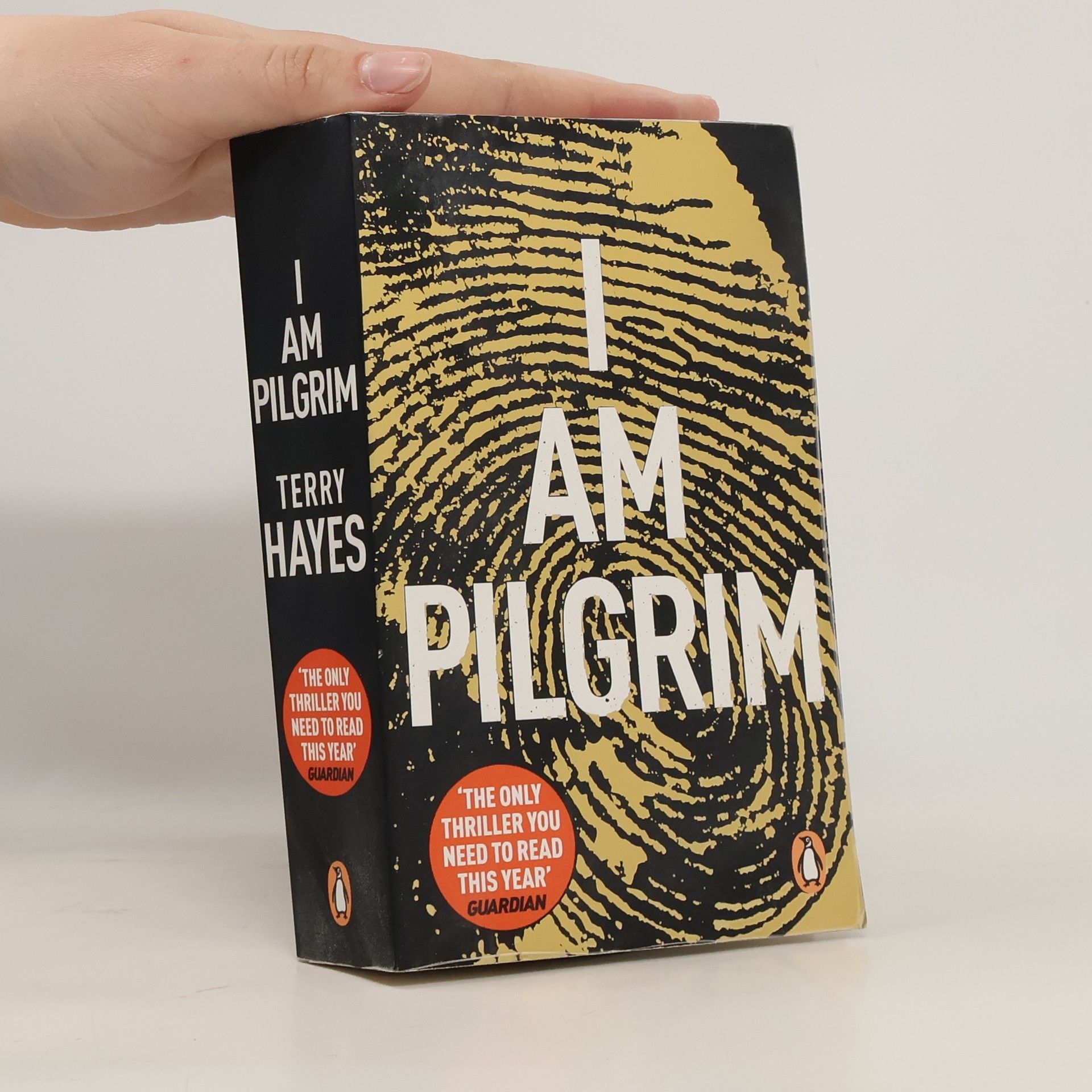 Terry Hayes I am Pilgrim