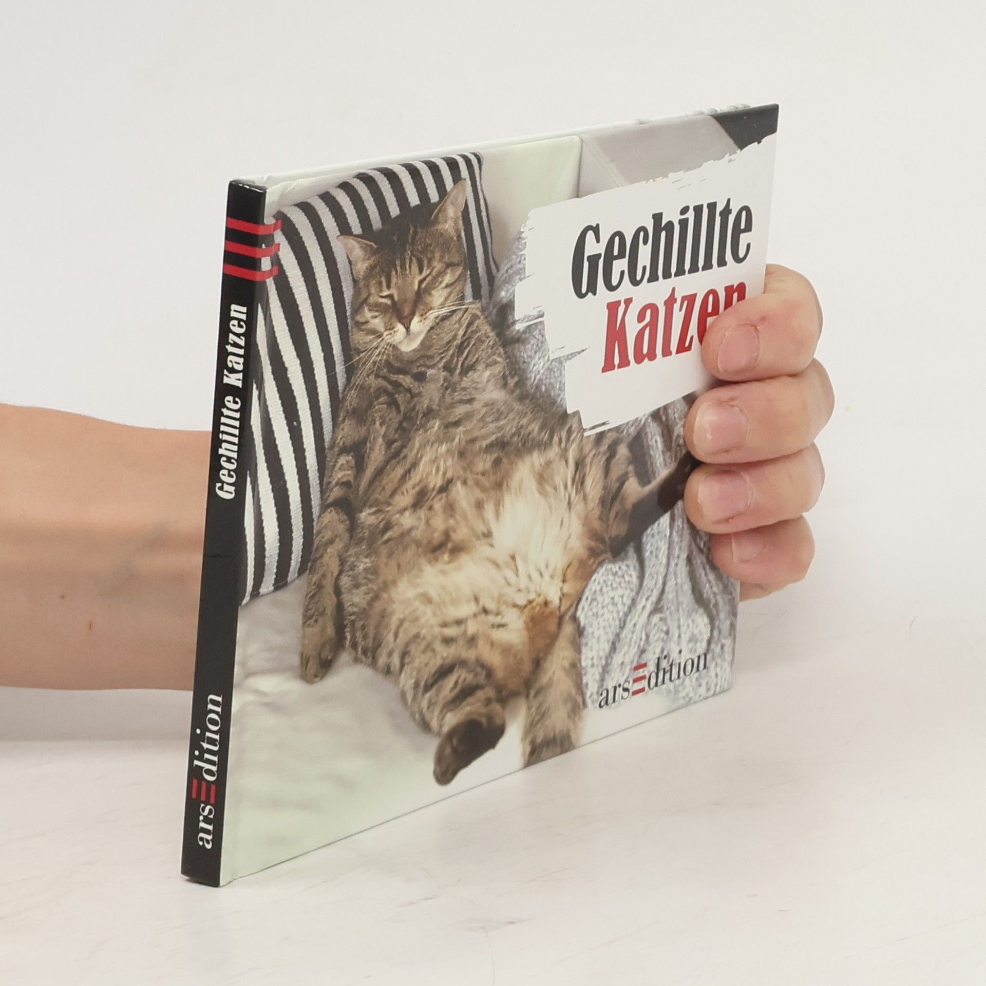 Paulus Vennebusch Gechillte Katzen