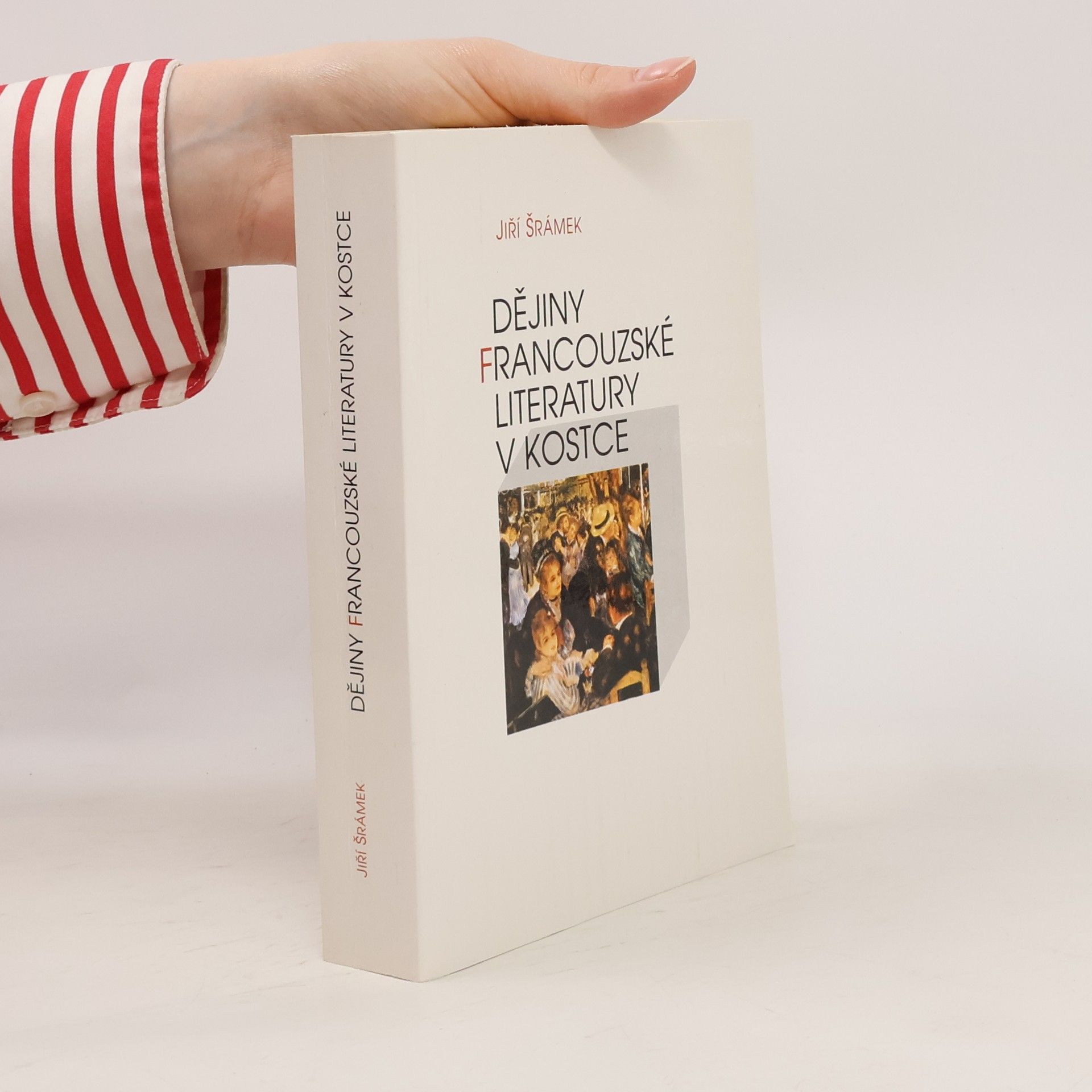 Jiří Šrámek Dějiny francouzské literatury v kostce