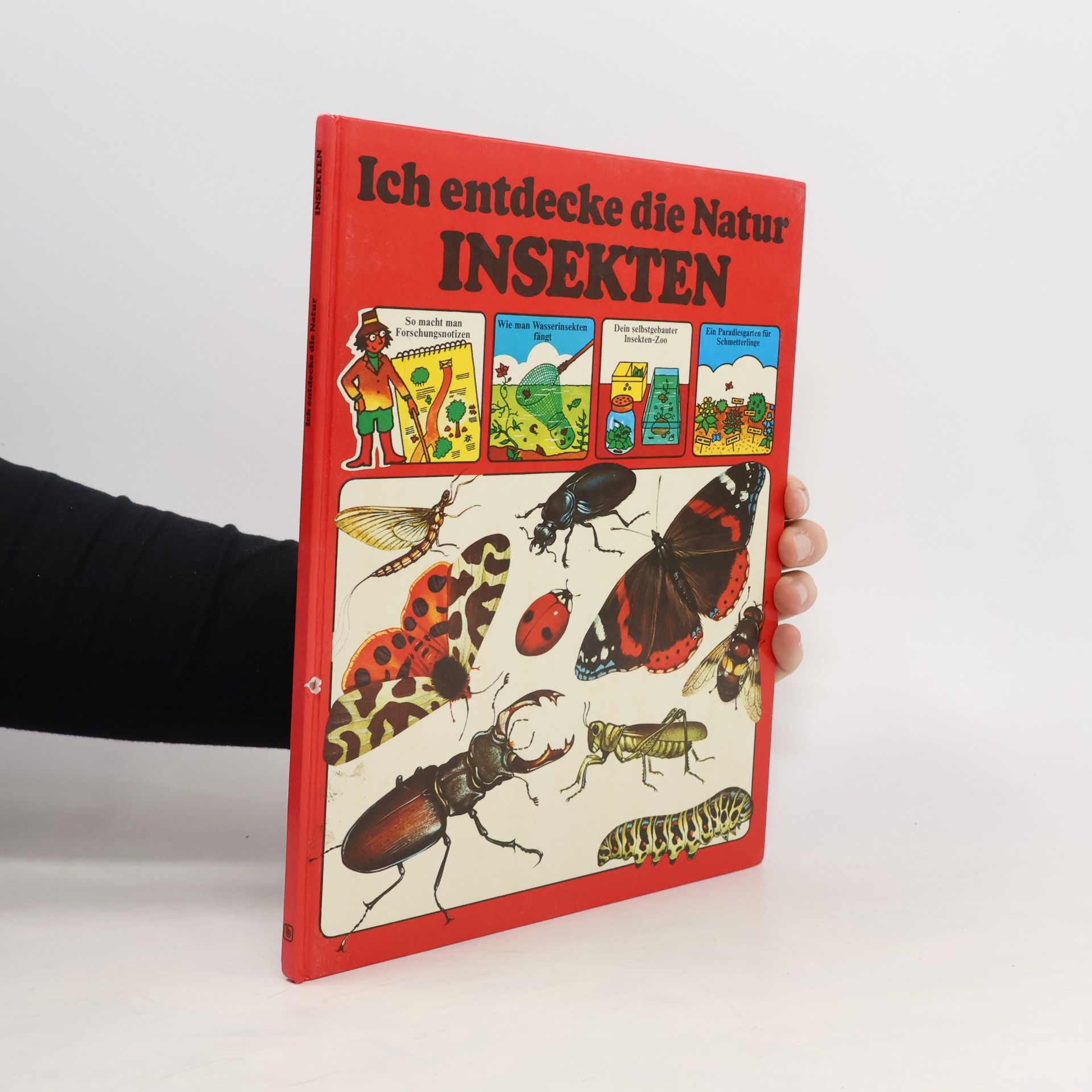 Ruth Thomson Insekten