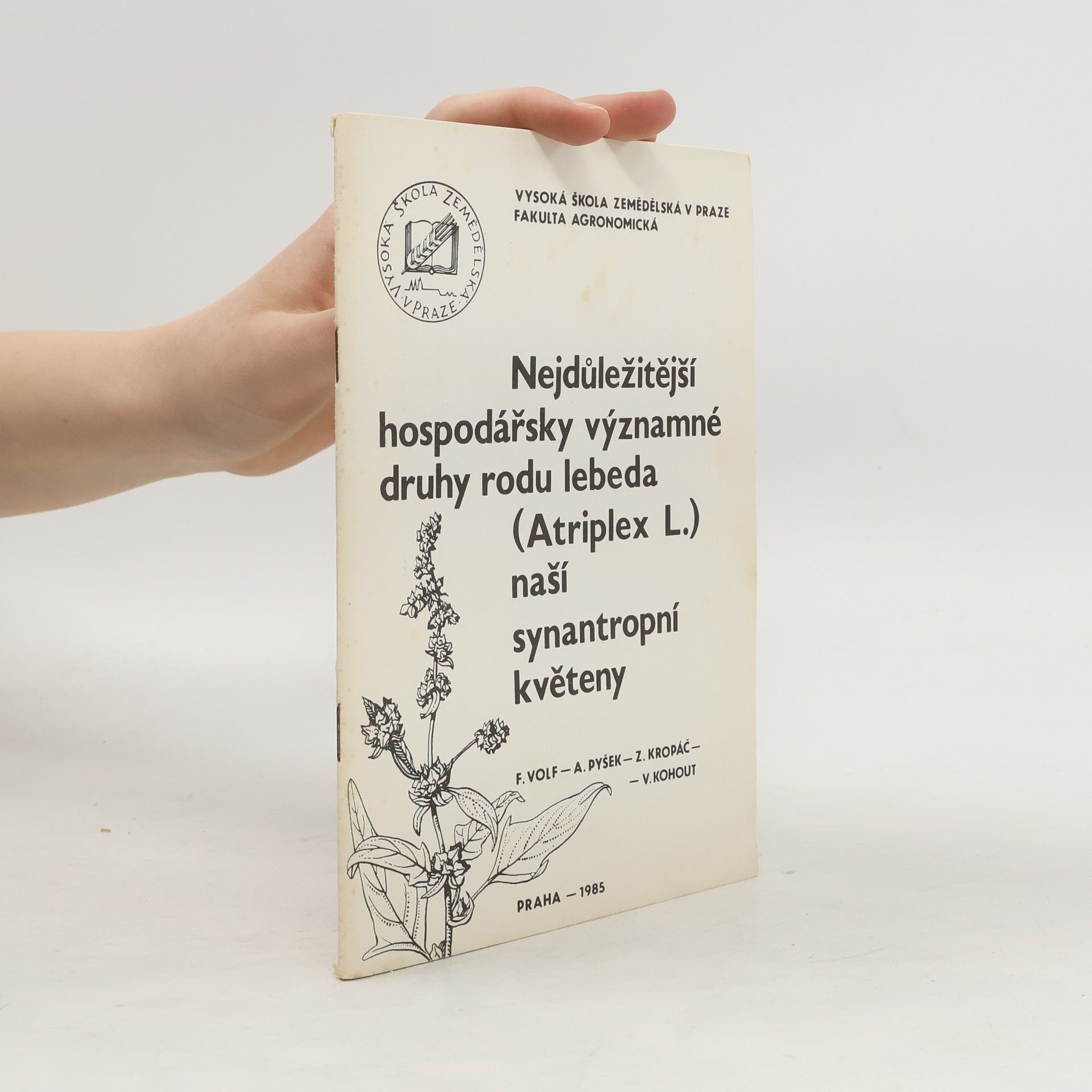 F. Volf Nejdůležitější hospodářsky významné druhy rodu lebeda naší synatropní květeny