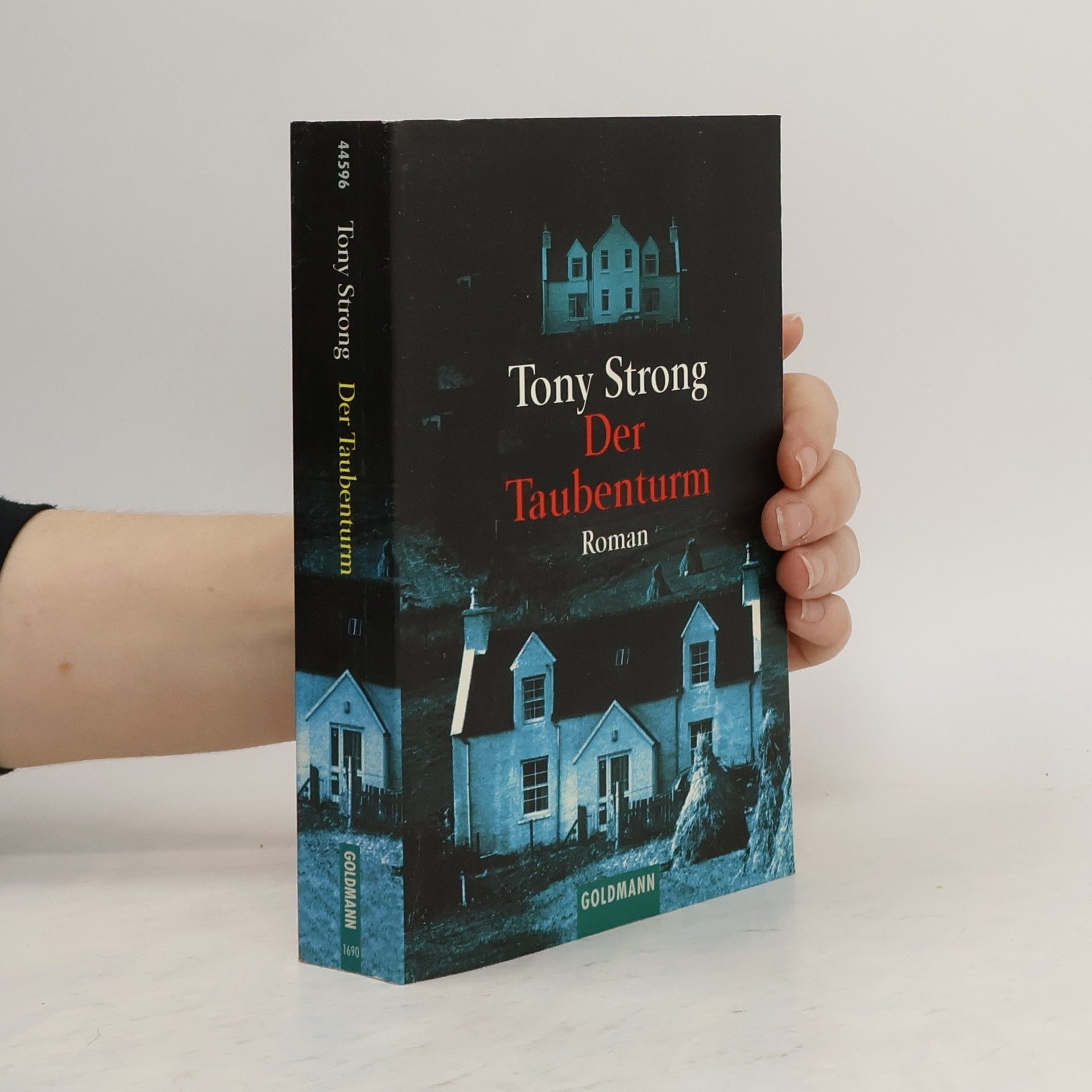 Tony Strong Der Taubenturm