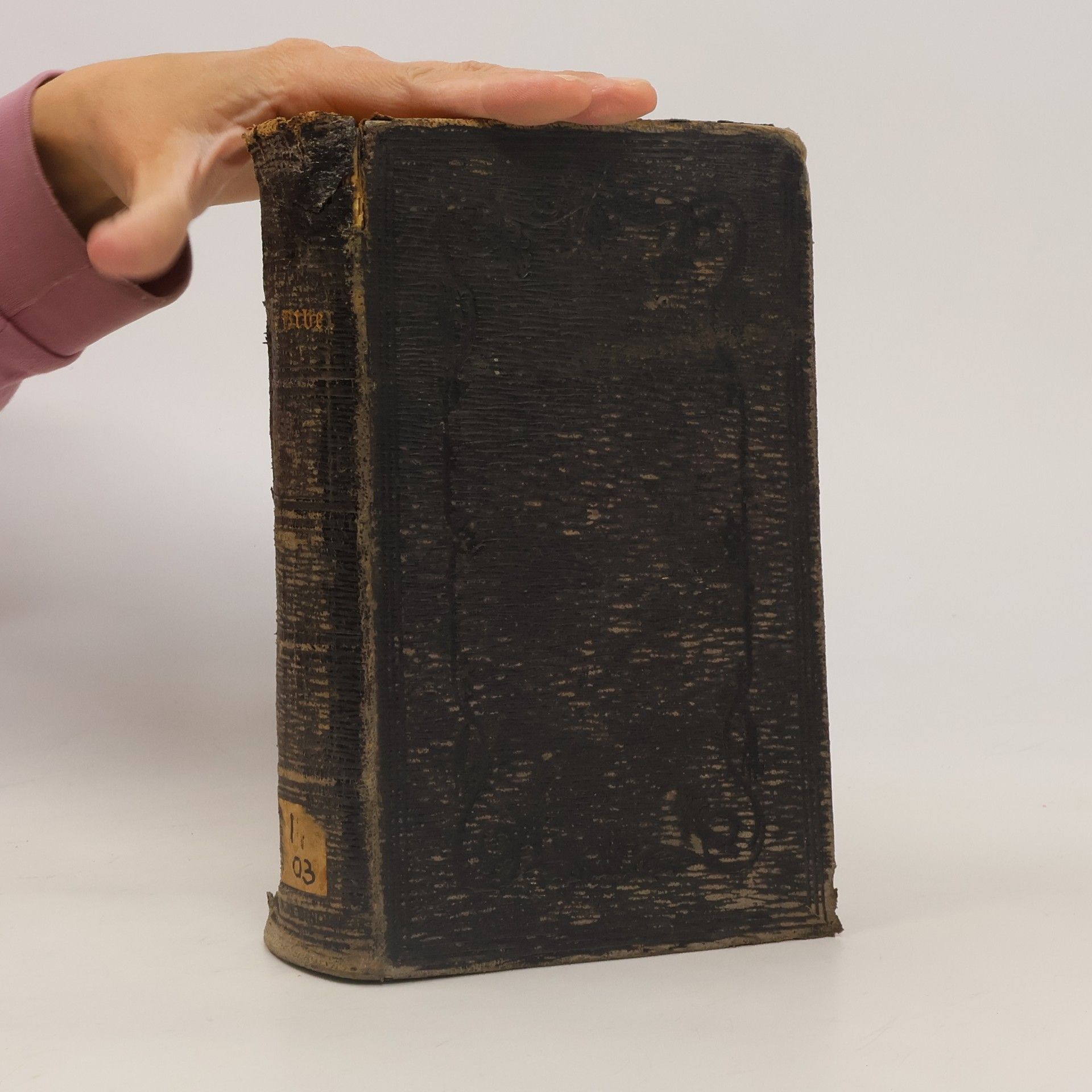 Autorenkollektiv Die Bibel oder die ganze Heilige Schrift