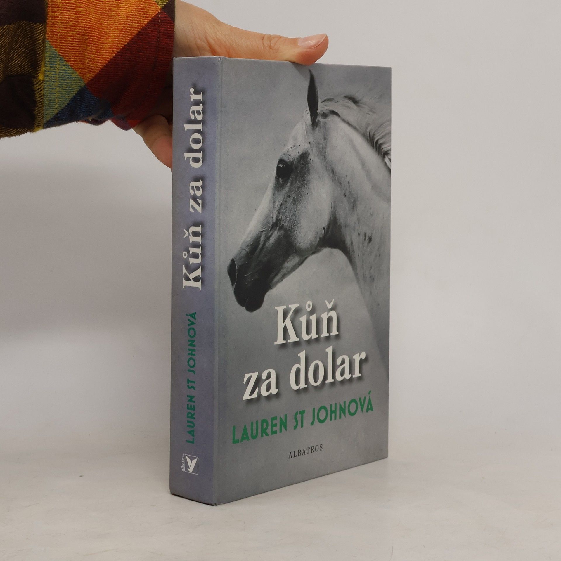 Lauren St. John Kůň za dolar