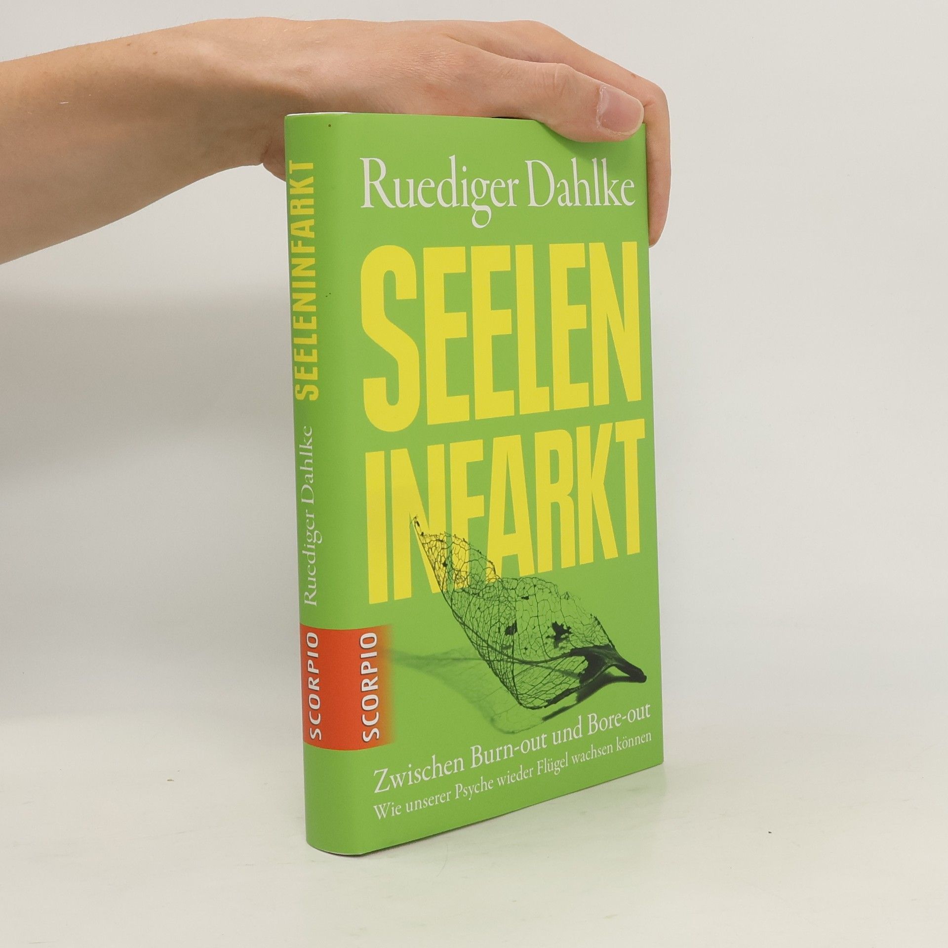 Ruediger Dahlke Seeleninfarkt