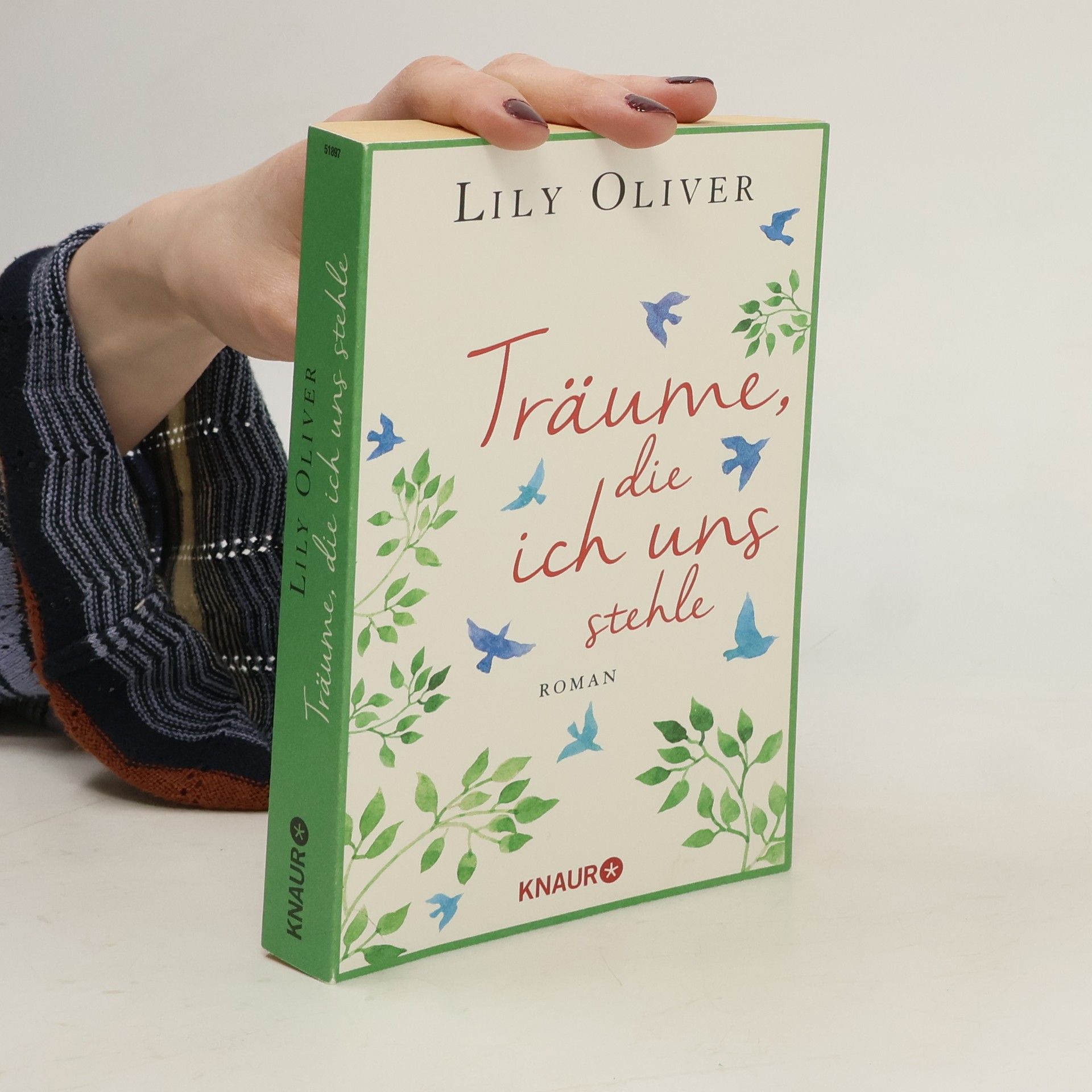 Lily Oliver Träume, die ich uns stehle