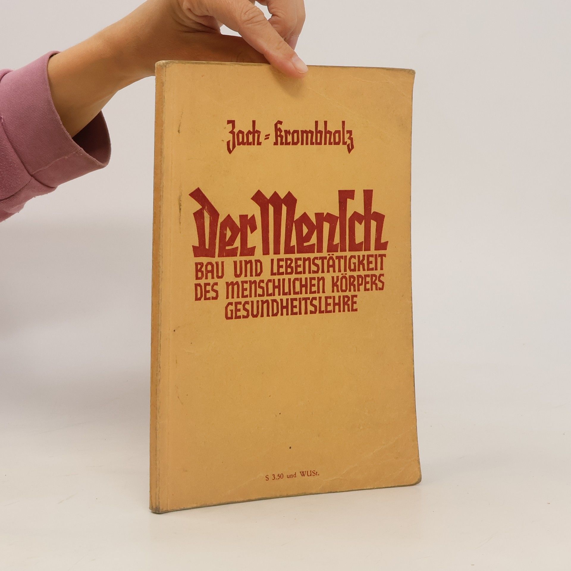 Zach Franz Der Mensch