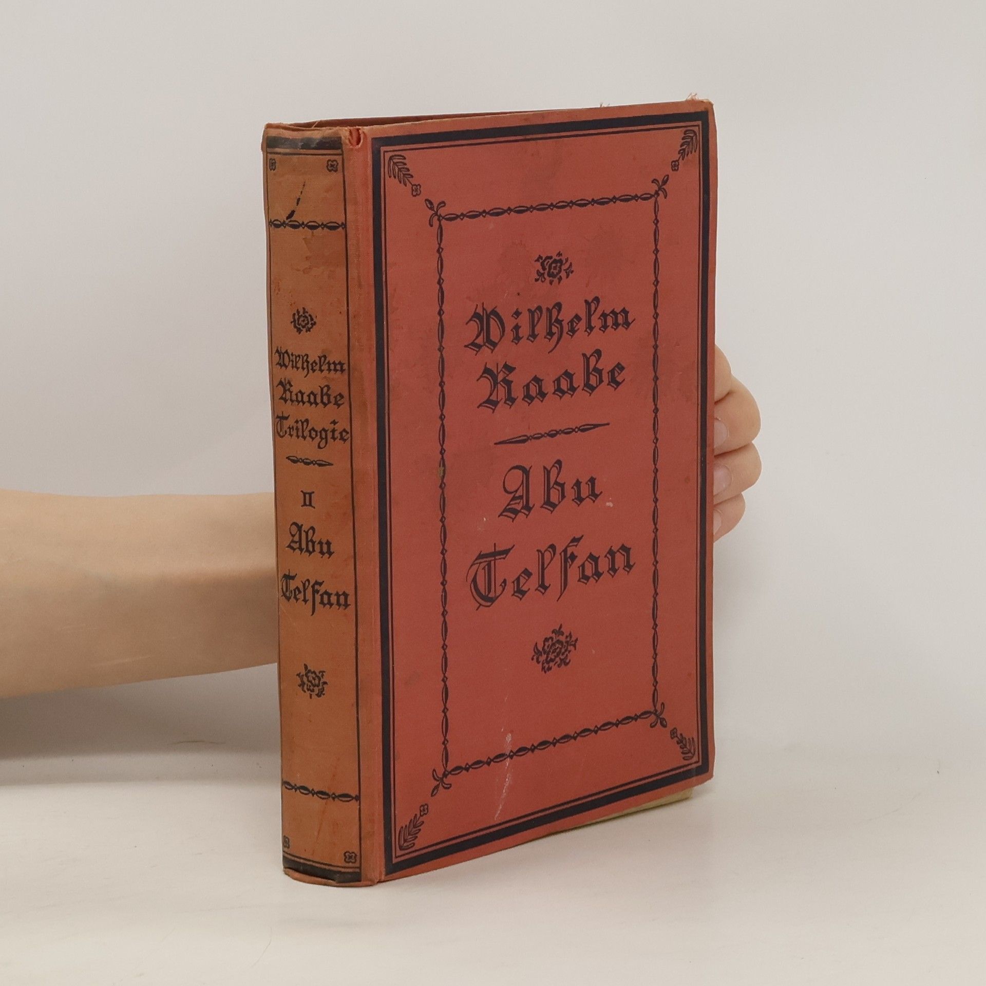 Wilhelm Raabe Abu Telfan 2