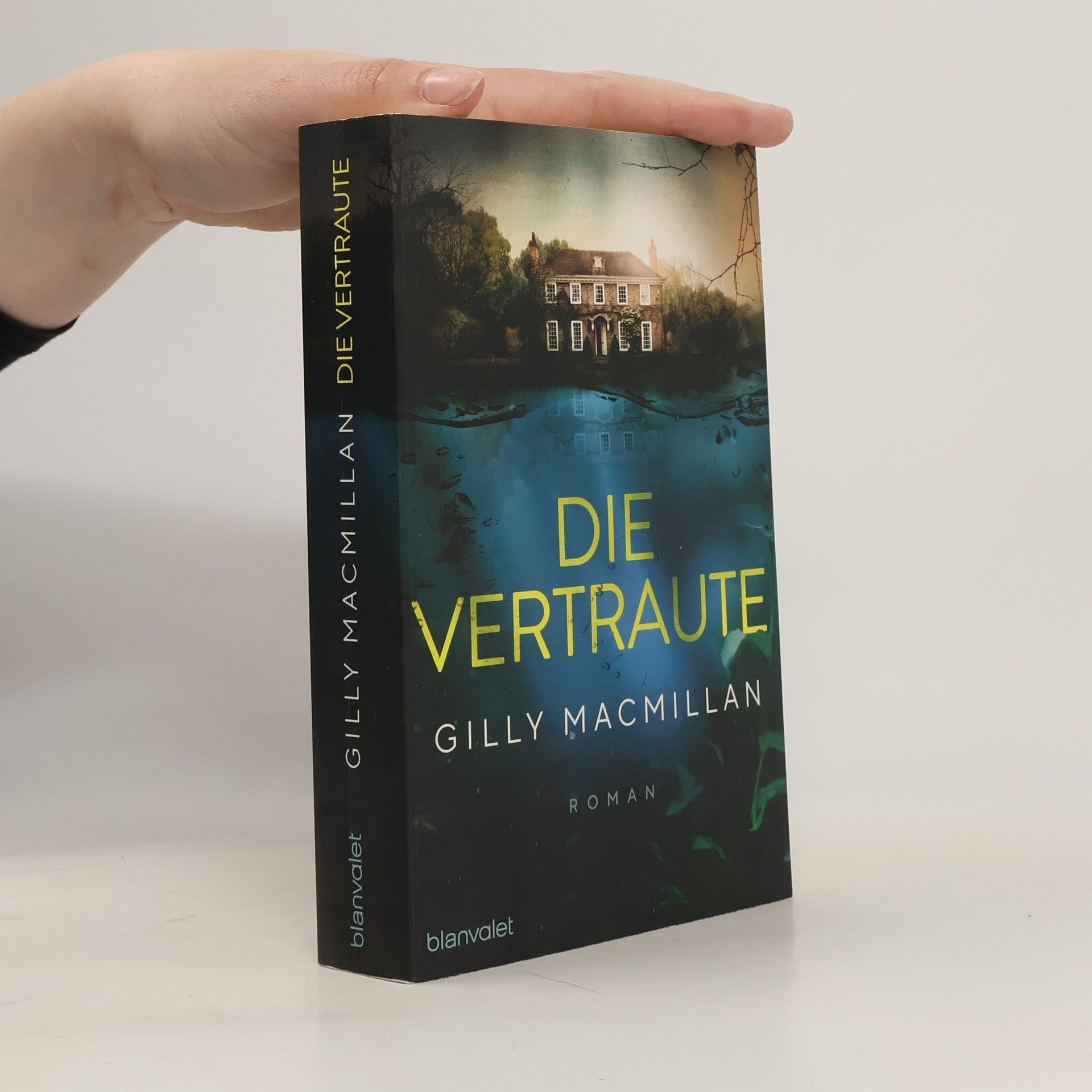 Gilly Macmillan Die Vertraute