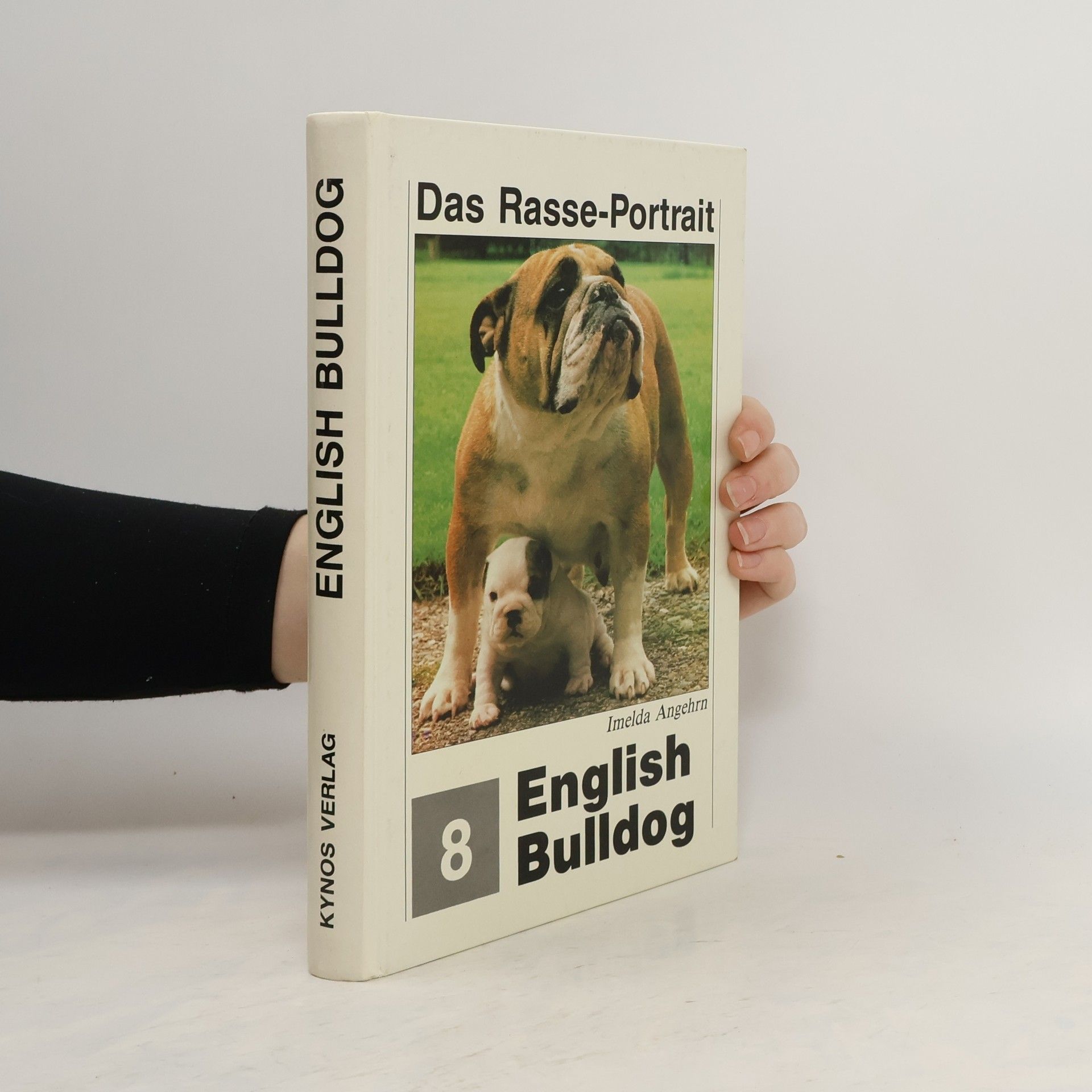 Imelda Angehrn English Bulldog
