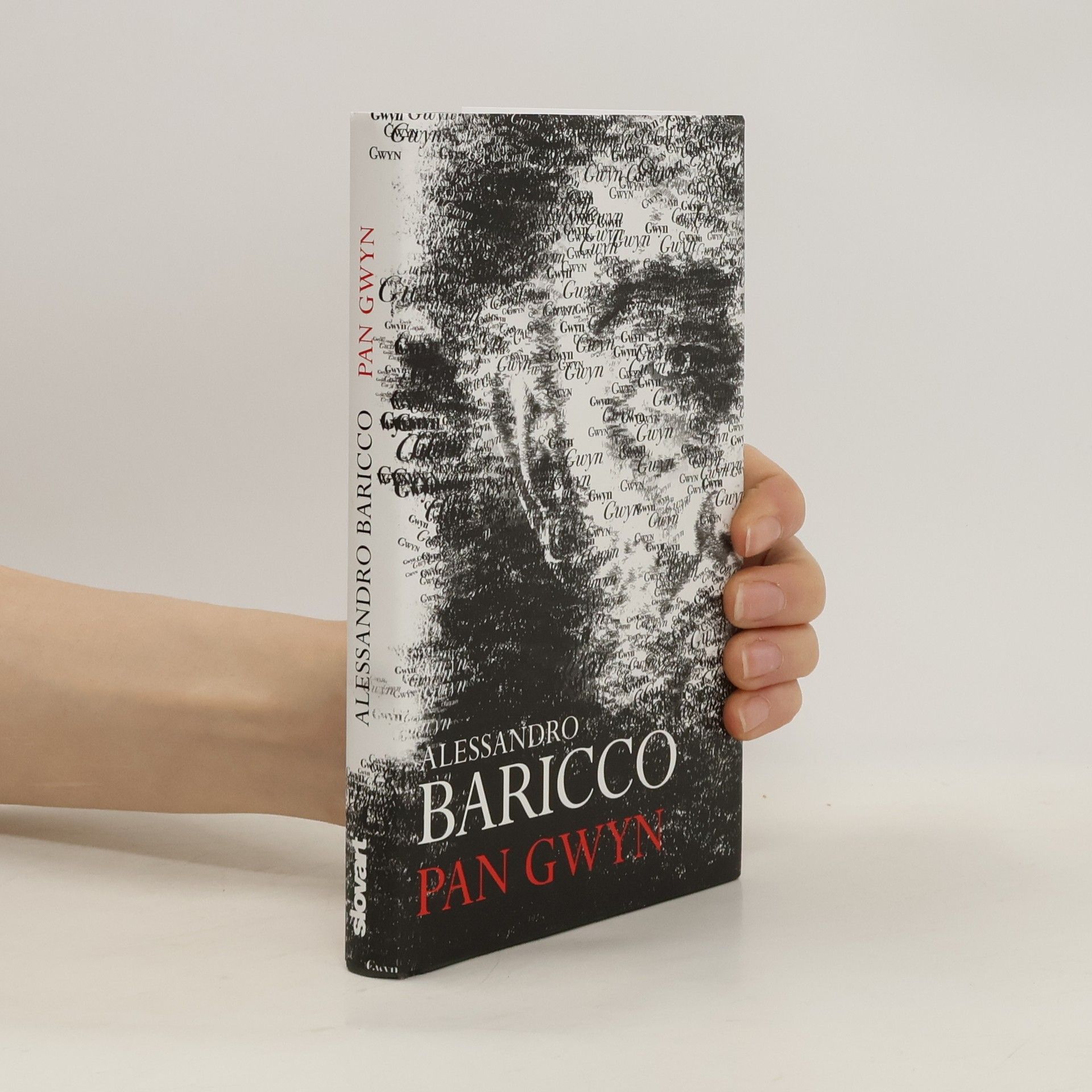 Alessandro Baricco Pan Gwyn
