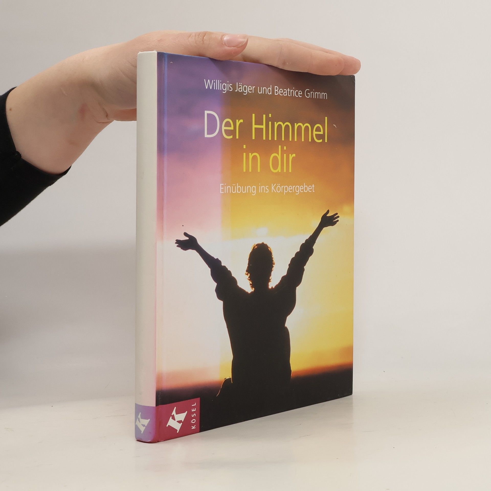 Willigis Jäger Der Himmel in dir