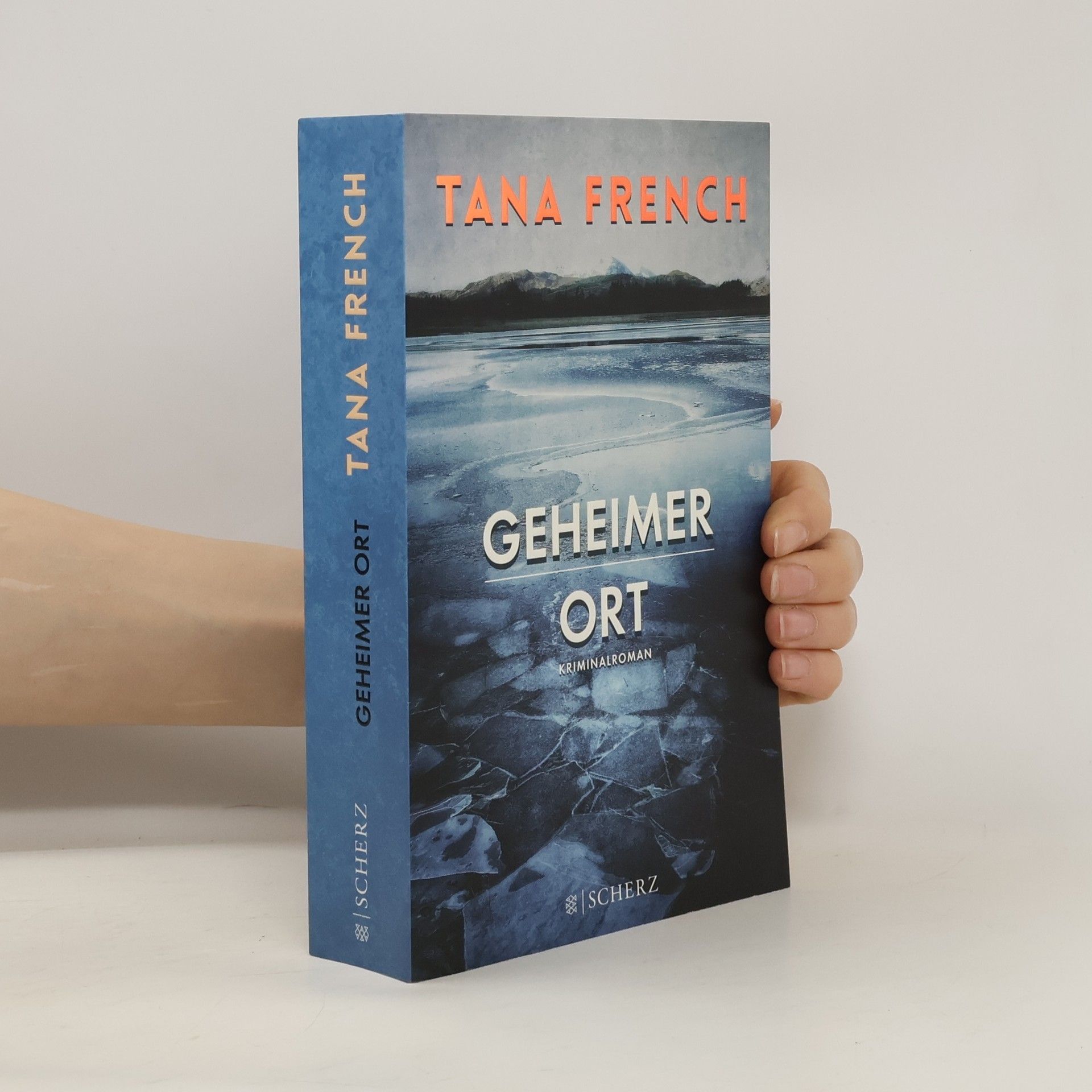 Tana French Geheimer Ort