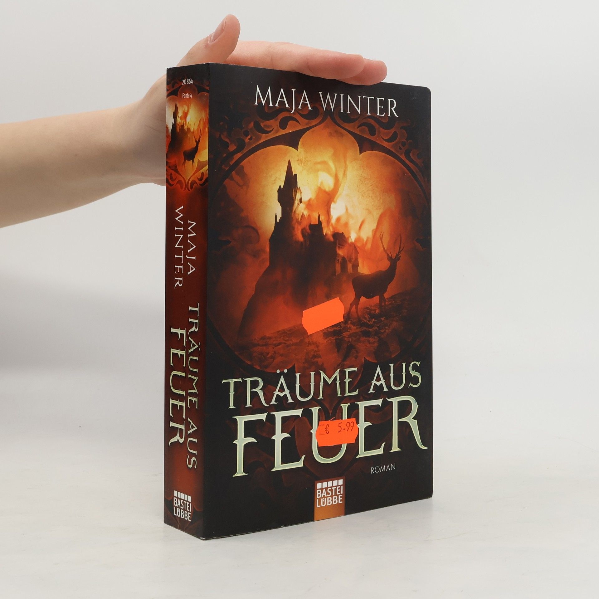 Maja Winter Träume aus Feuer