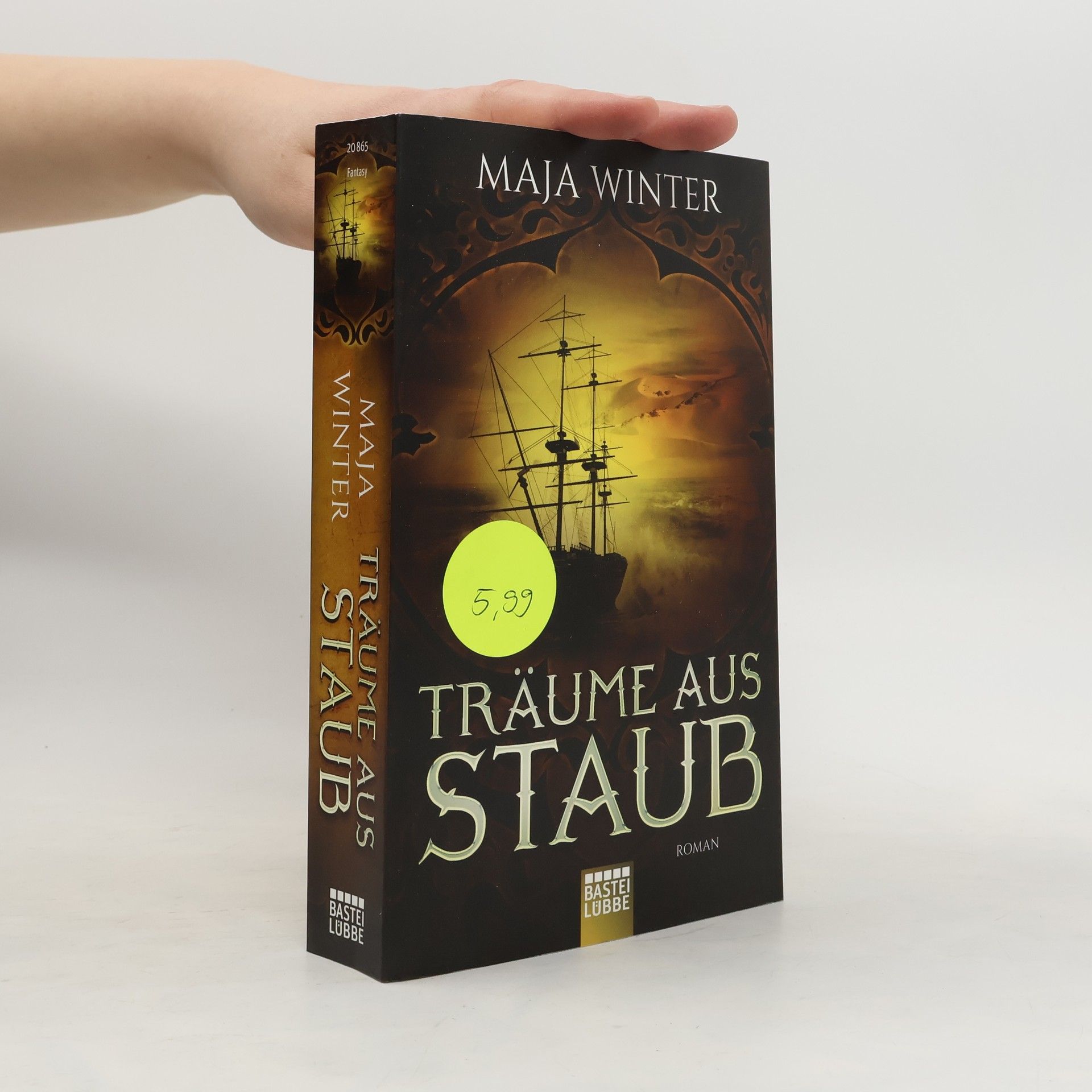 Maja Winter Träume aus Staub