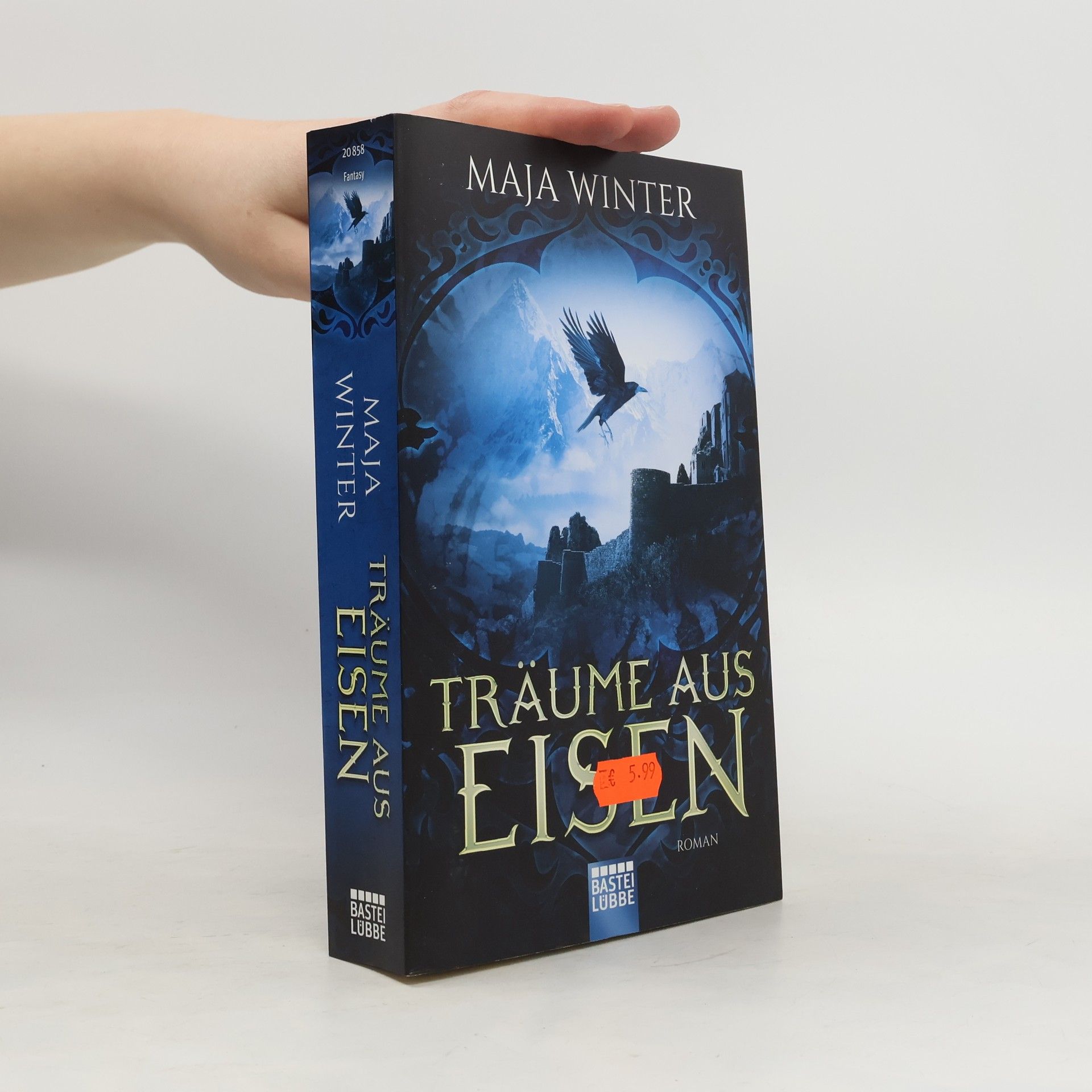 Maja Winter Träume aus Eisen