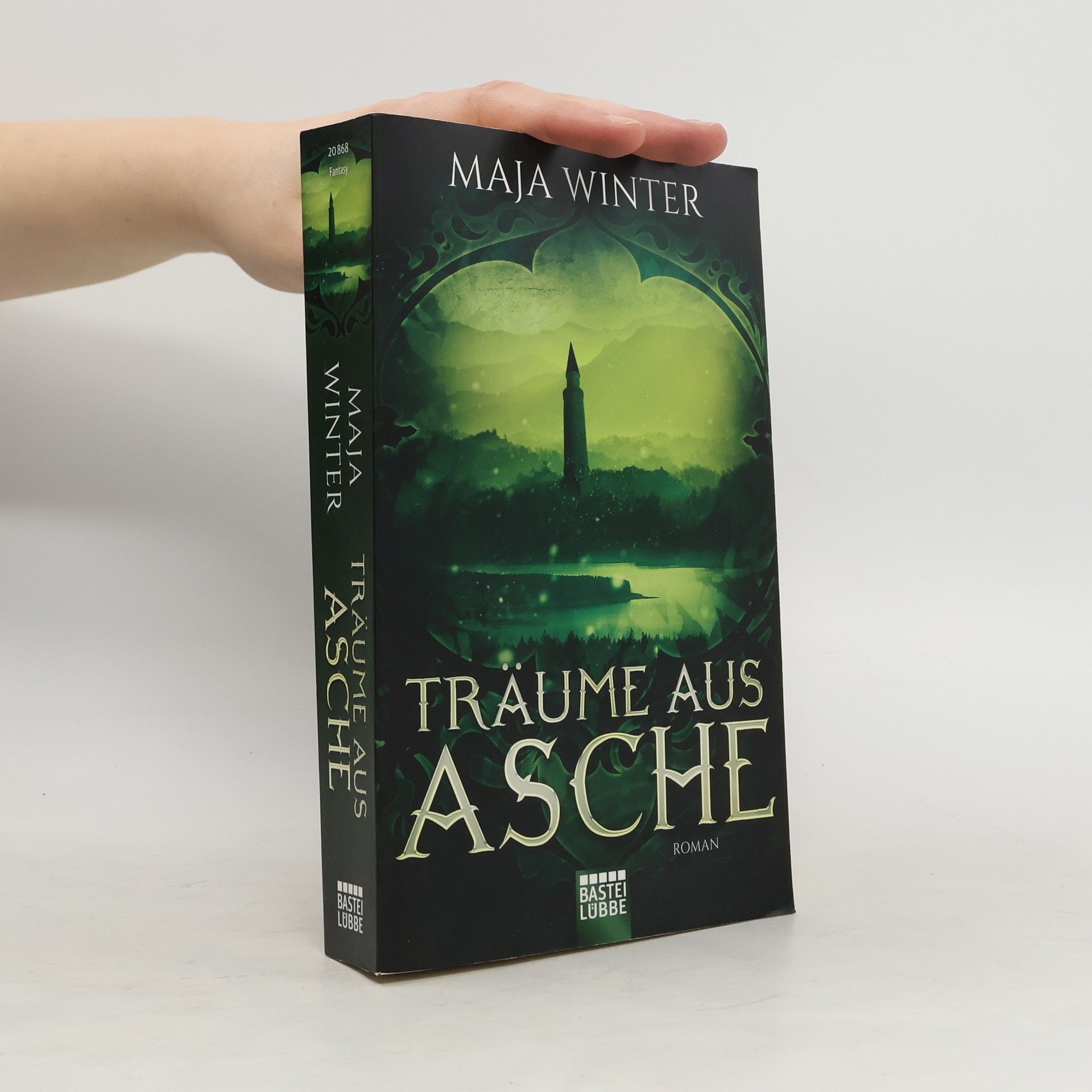 Maja Winter Träume aus Asche