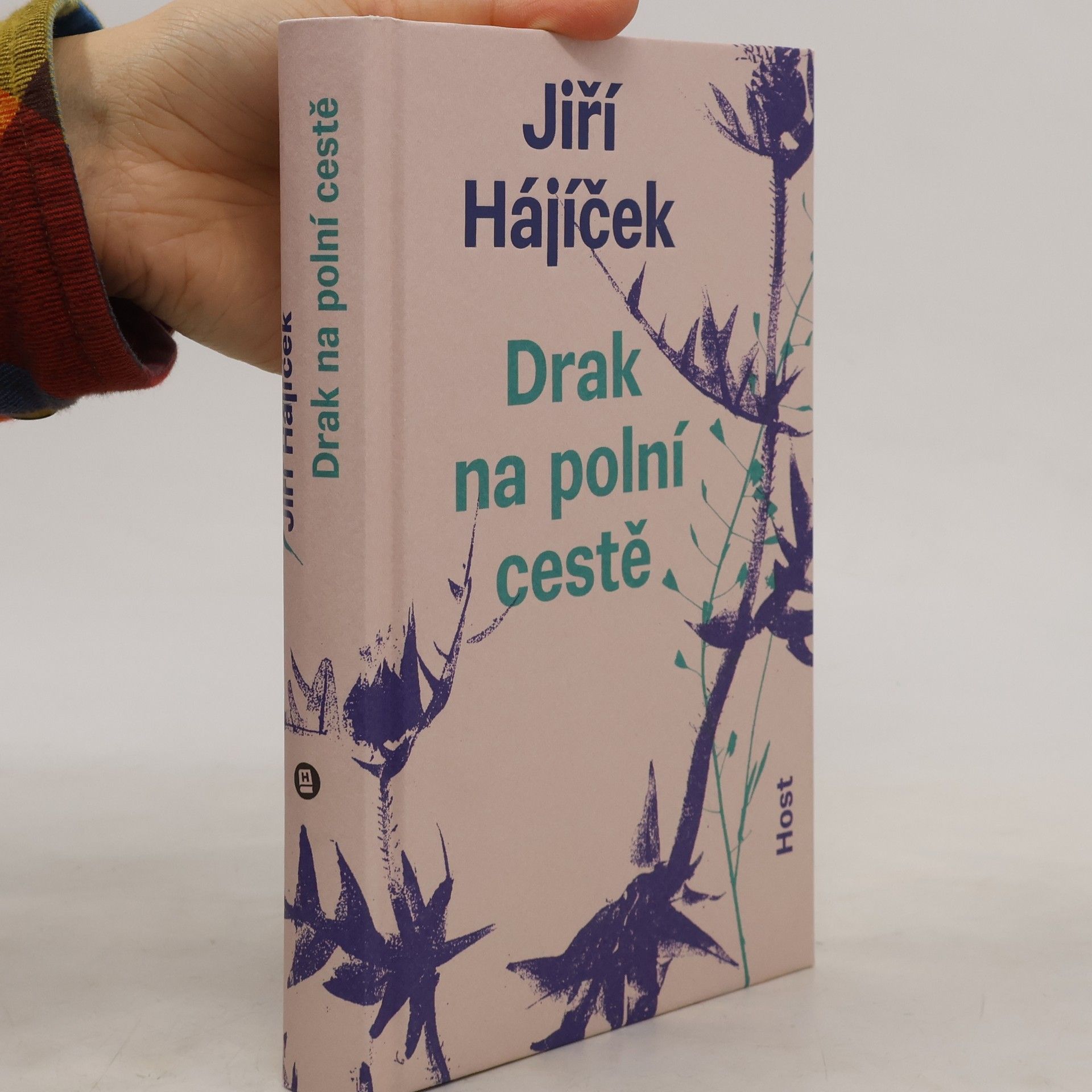 Jiří Hájíček Drak na polní cestě