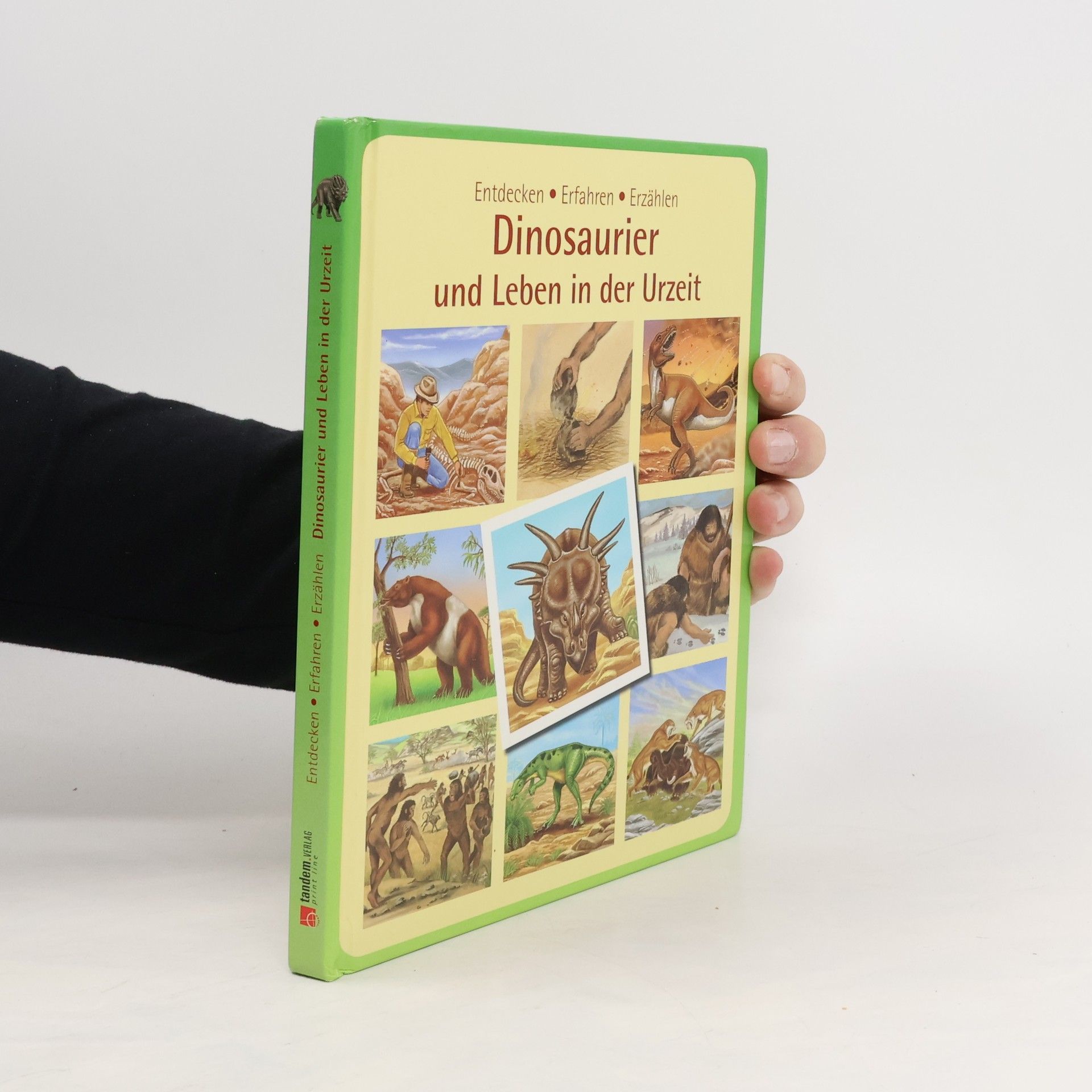 Collectif d'auteurs Dinosaurier und Leben in der Urzeit