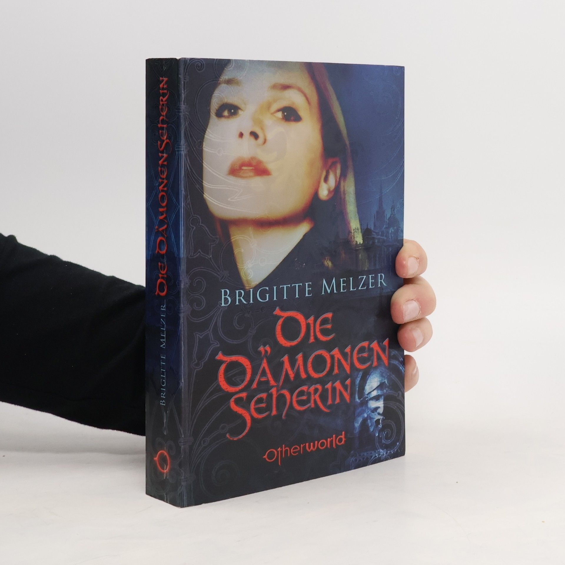 Brigitte Melzer Die Dämonenseherin