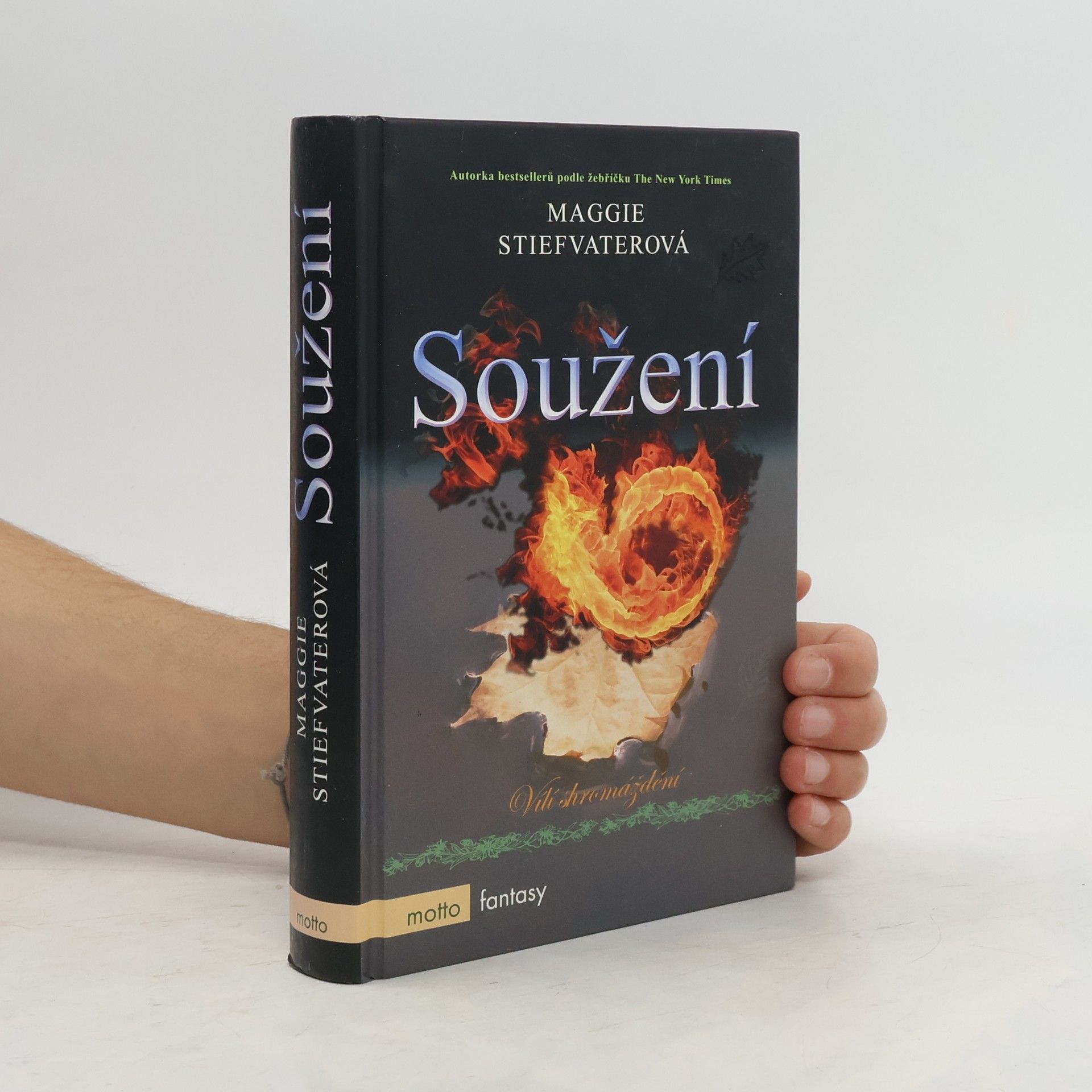 Maggie Stiefvater Soužení