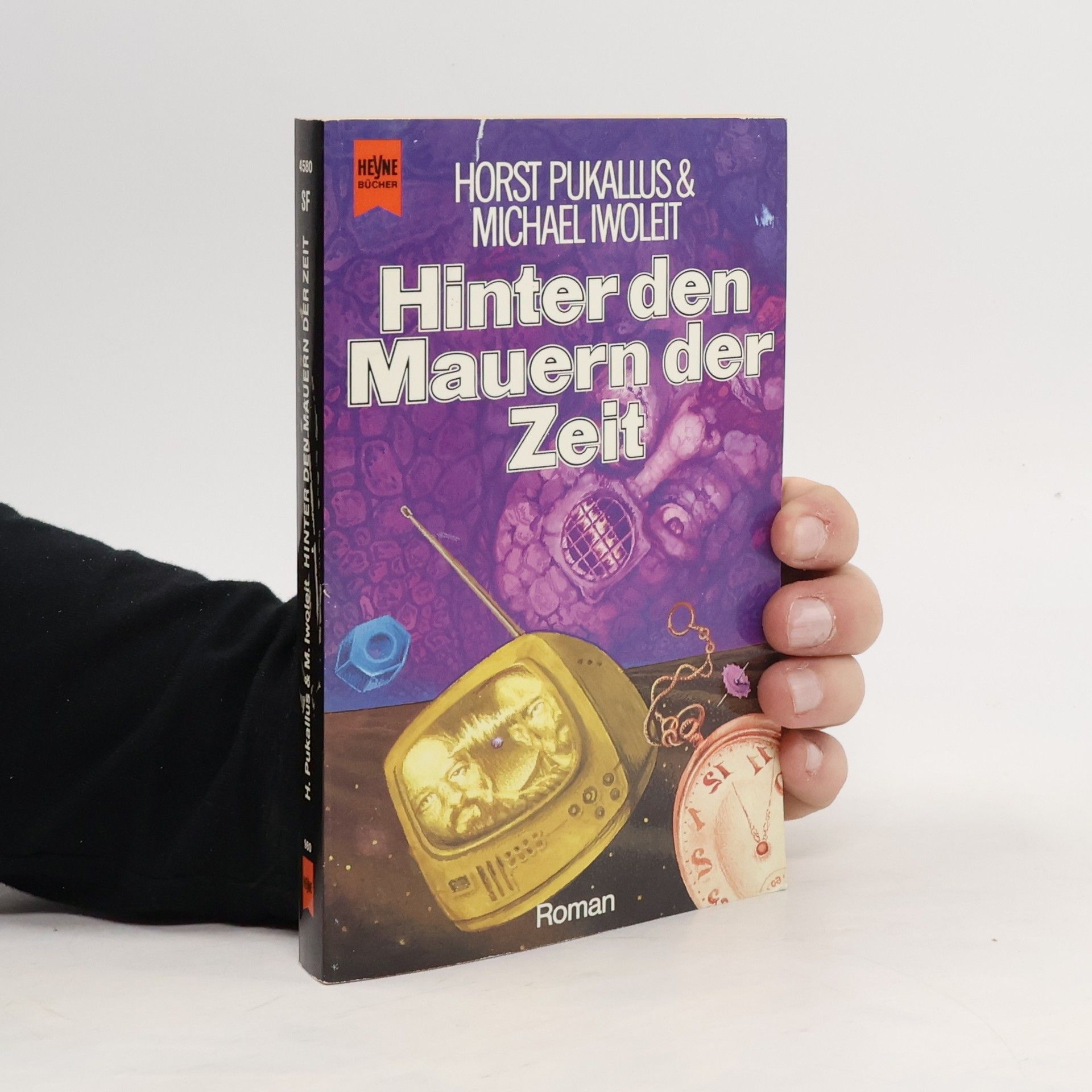 Horst Pukallus Hinter den Mauern der Zeit