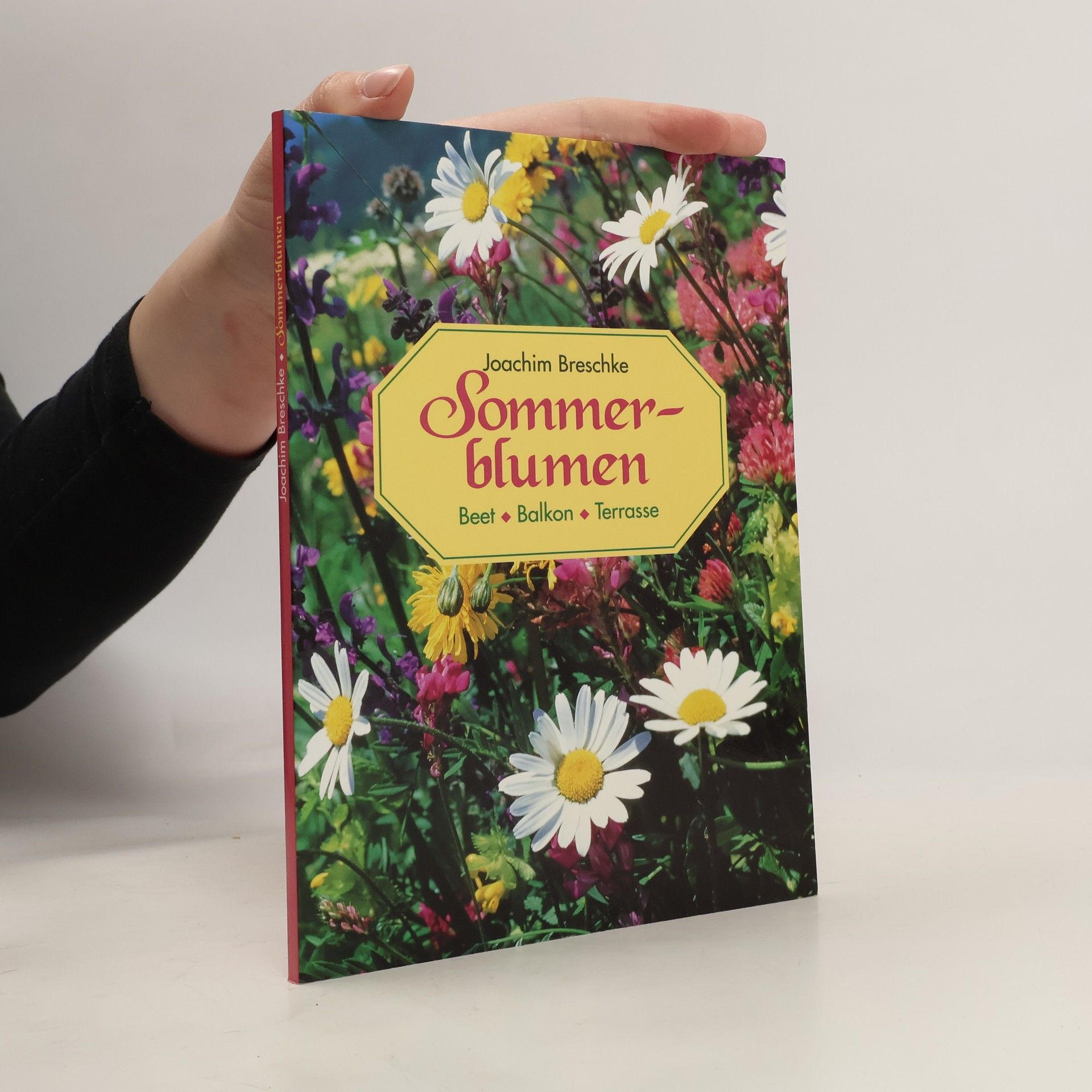 Joachim Breschke Sommerblumen
