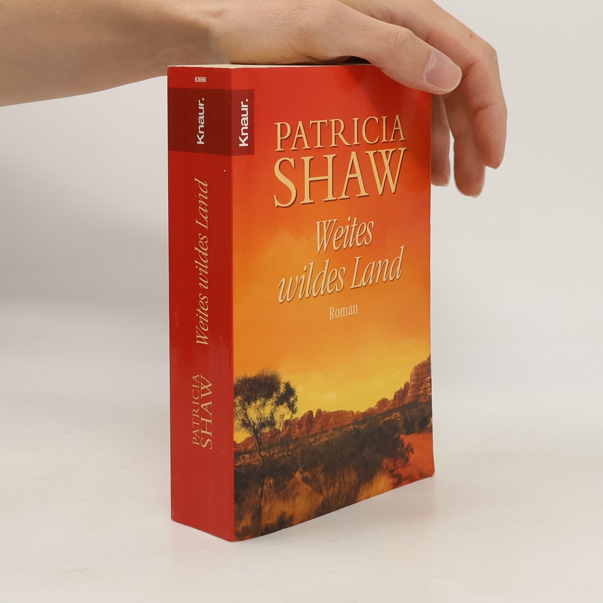 Patricia Shaw Weites wildes Land