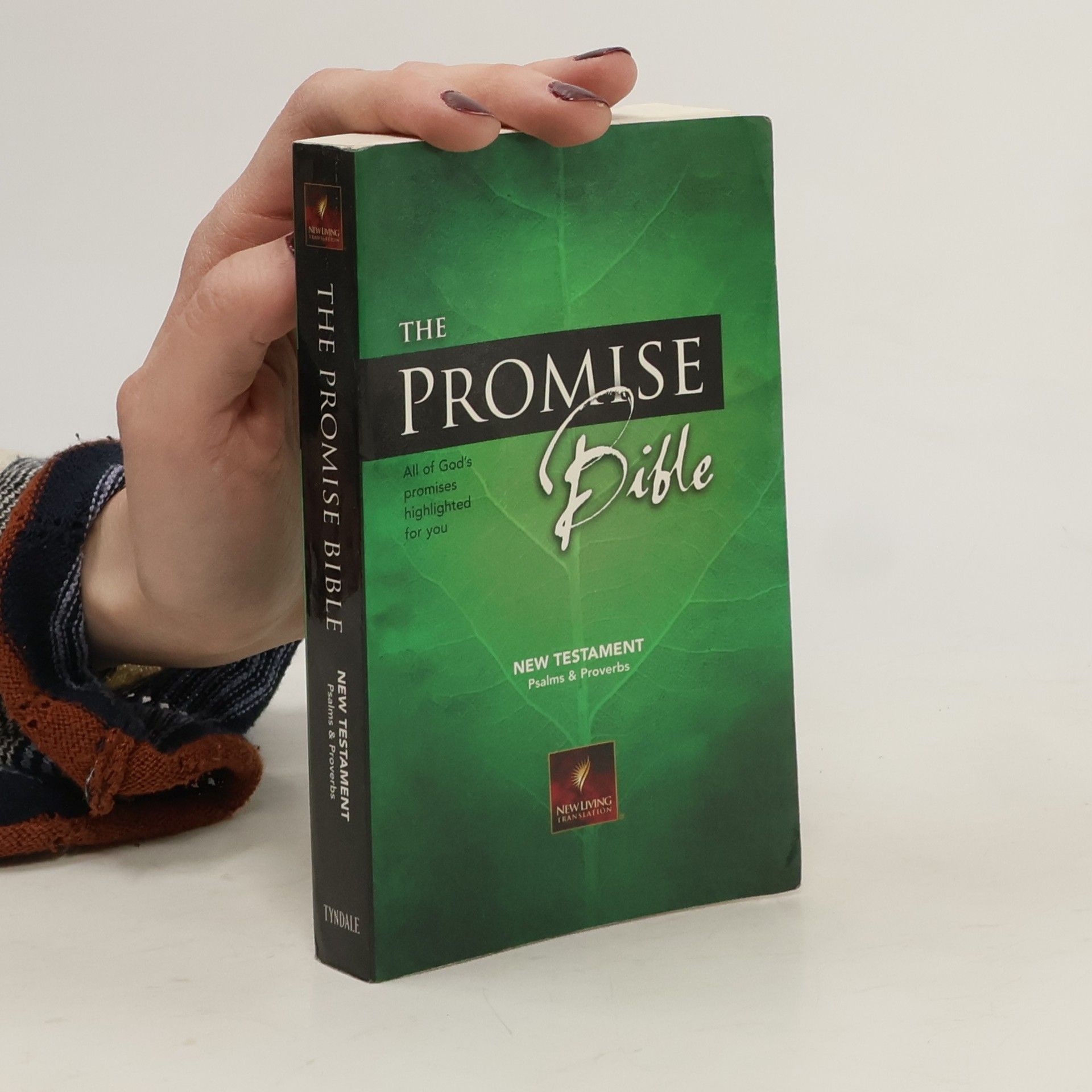 Gilbert Beers The Promise Bible