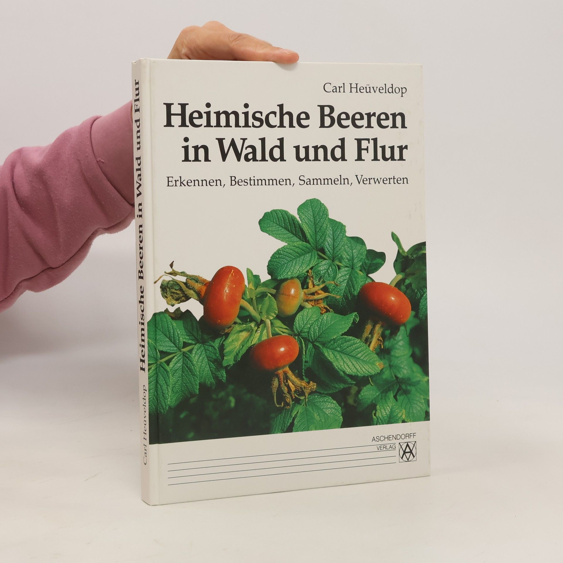 Carl Heüveldop Heimische Beeren in Wald und Flur