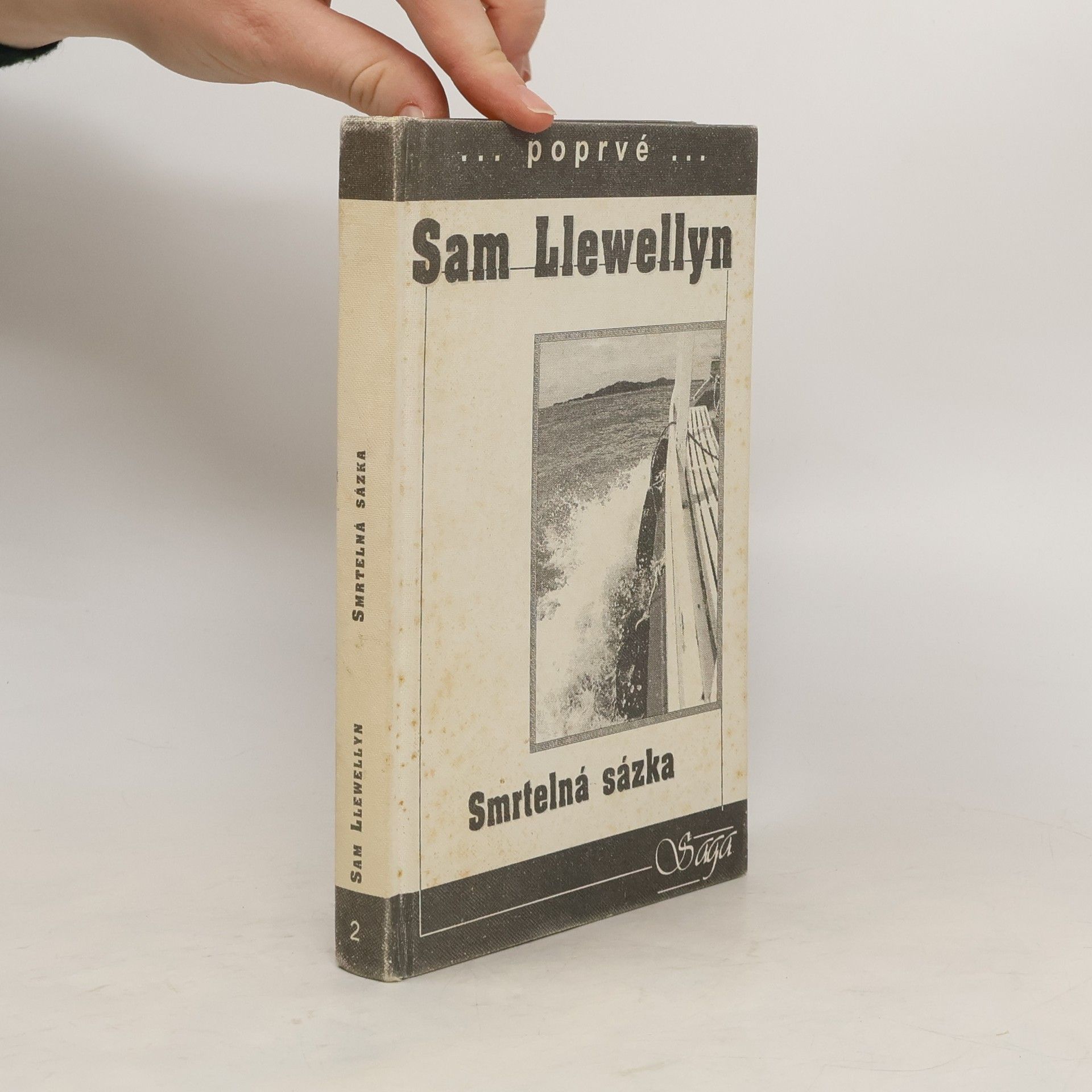 Sam Llewellyn Smrtelná sázka