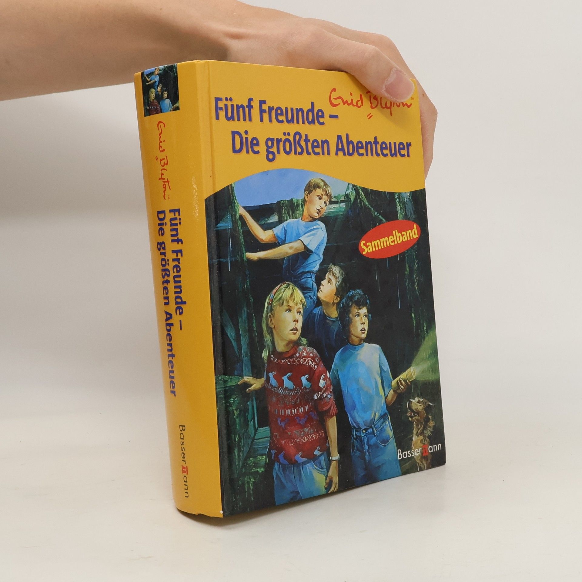 Enid Blyton Fünf Freunde - die größten Abenteuer