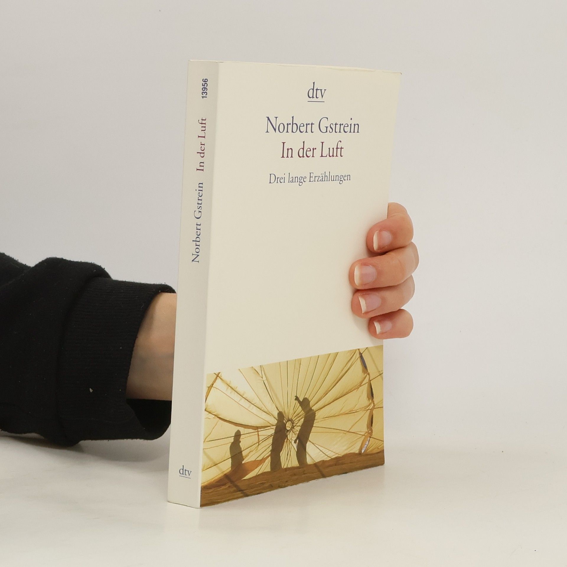 Norbert Gstrein In der Luft
